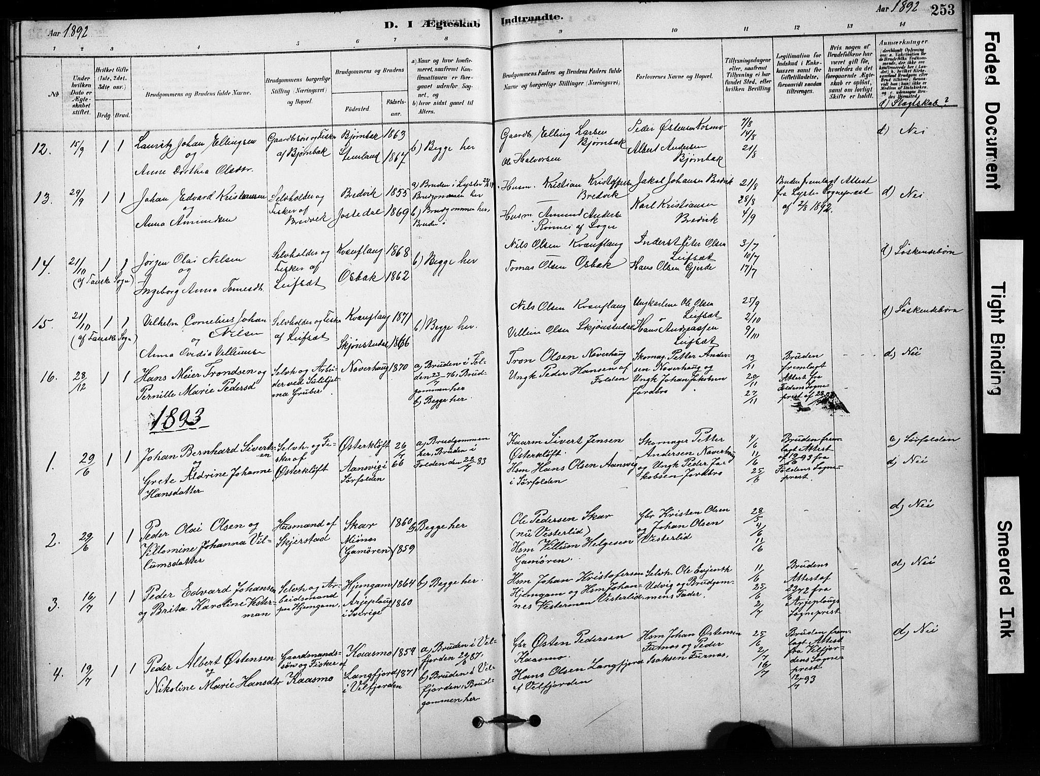 Ministerialprotokoller, klokkerbøker og fødselsregistre - Nordland, AV/SAT-A-1459/852/L0754: Parish register (copy) no. 852C05, 1878-1894, p. 253