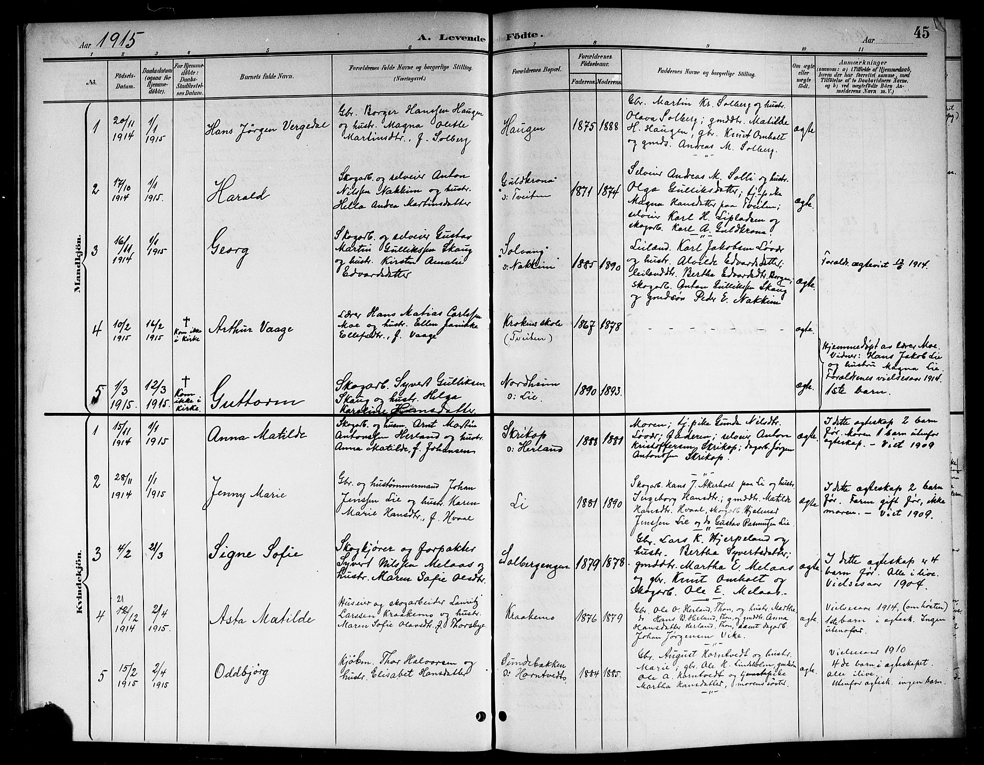 Lardal kirkebøker, SAKO/A-350/G/Ga/L0002: Parish register (copy) no. I 2, 1901-1916, p. 45