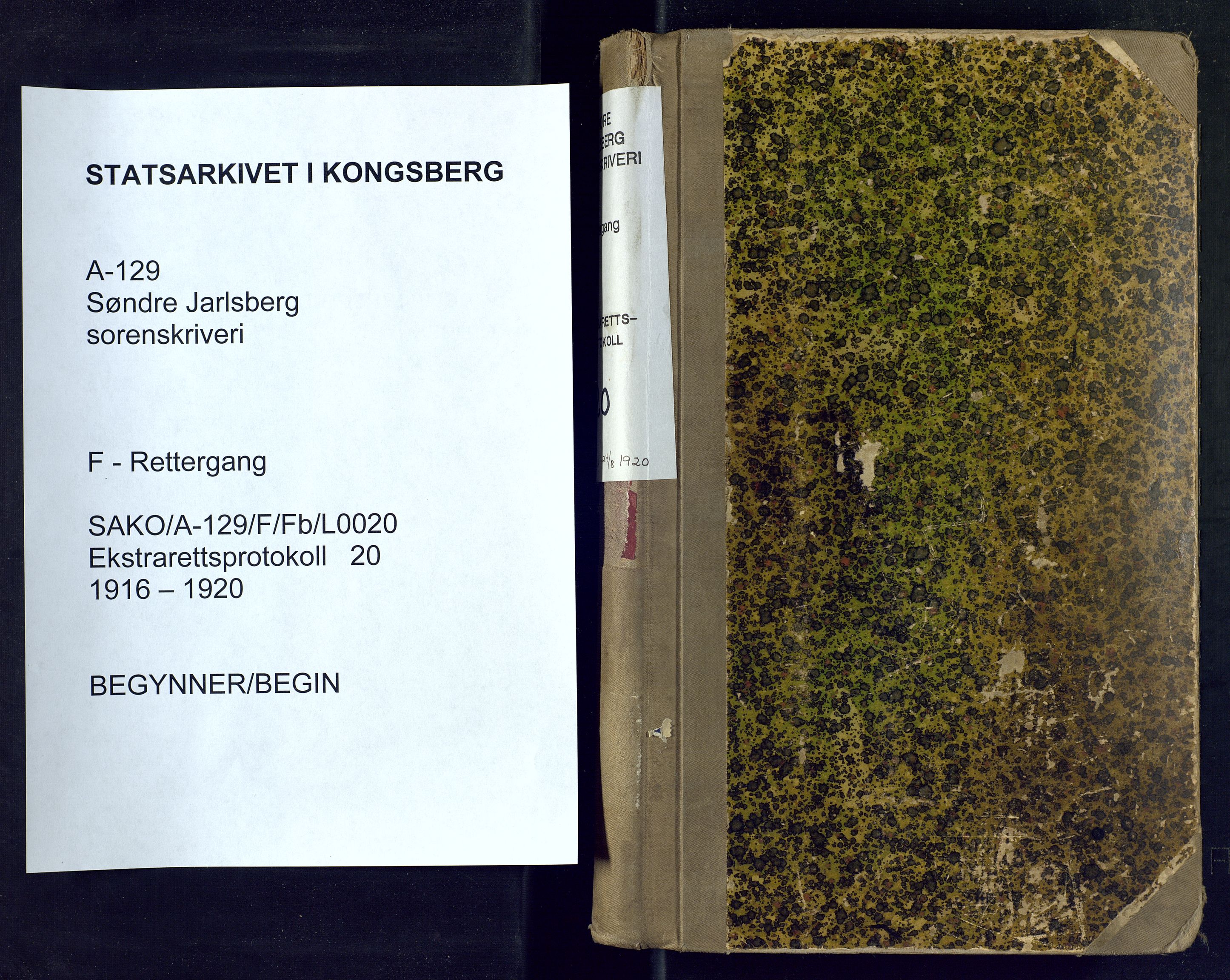 Søndre Jarlsberg sorenskriveri, AV/SAKO-A-129/F/Fb/L0020: Ekstrarettsprotokoll, 1916-1920