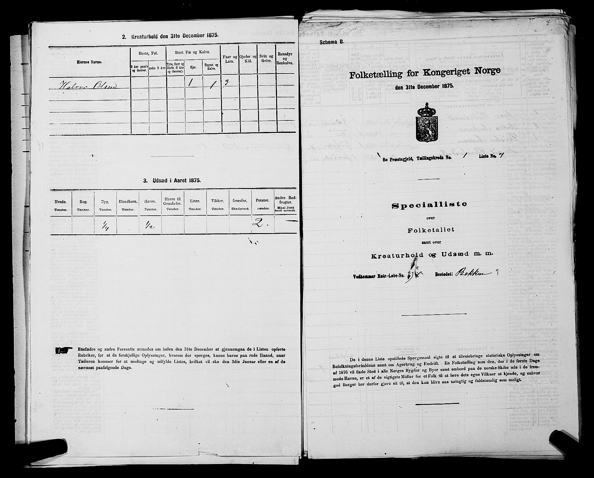 SAKO, 1875 census for 0821P Bø, 1875, p. 51