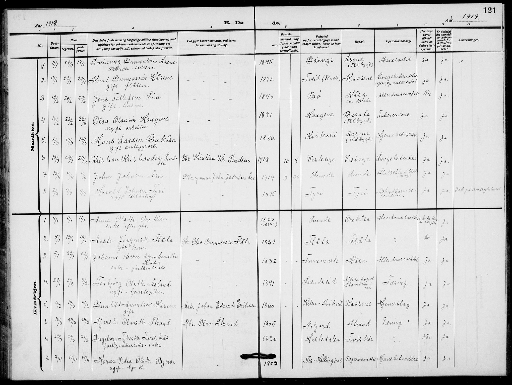 Lunde kirkebøker, AV/SAKO-A-282/G/Ga/L0005: Parish register (copy) no. I 5, 1914-1922, p. 121