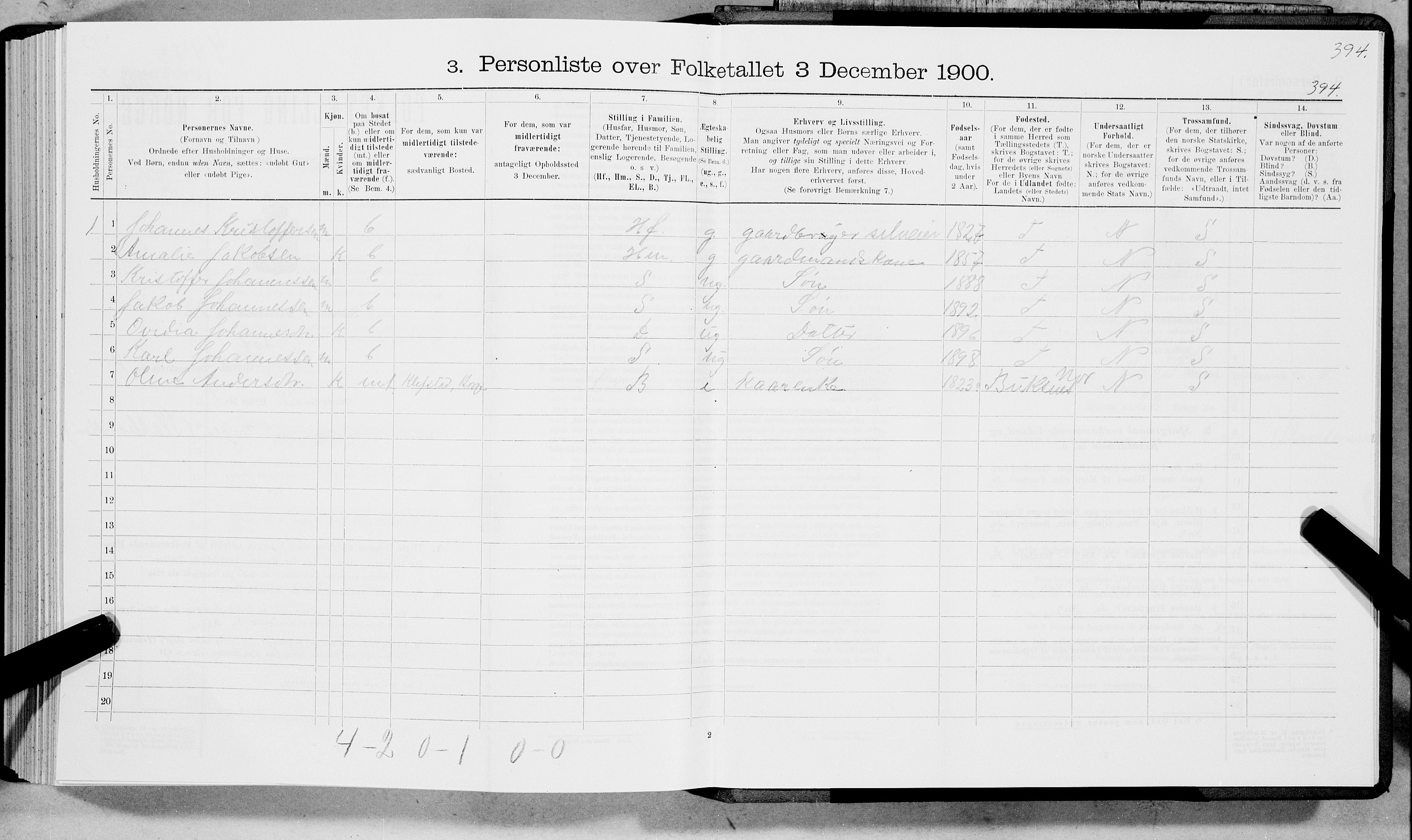 SAT, 1900 census for Borge, 1900, p. 423