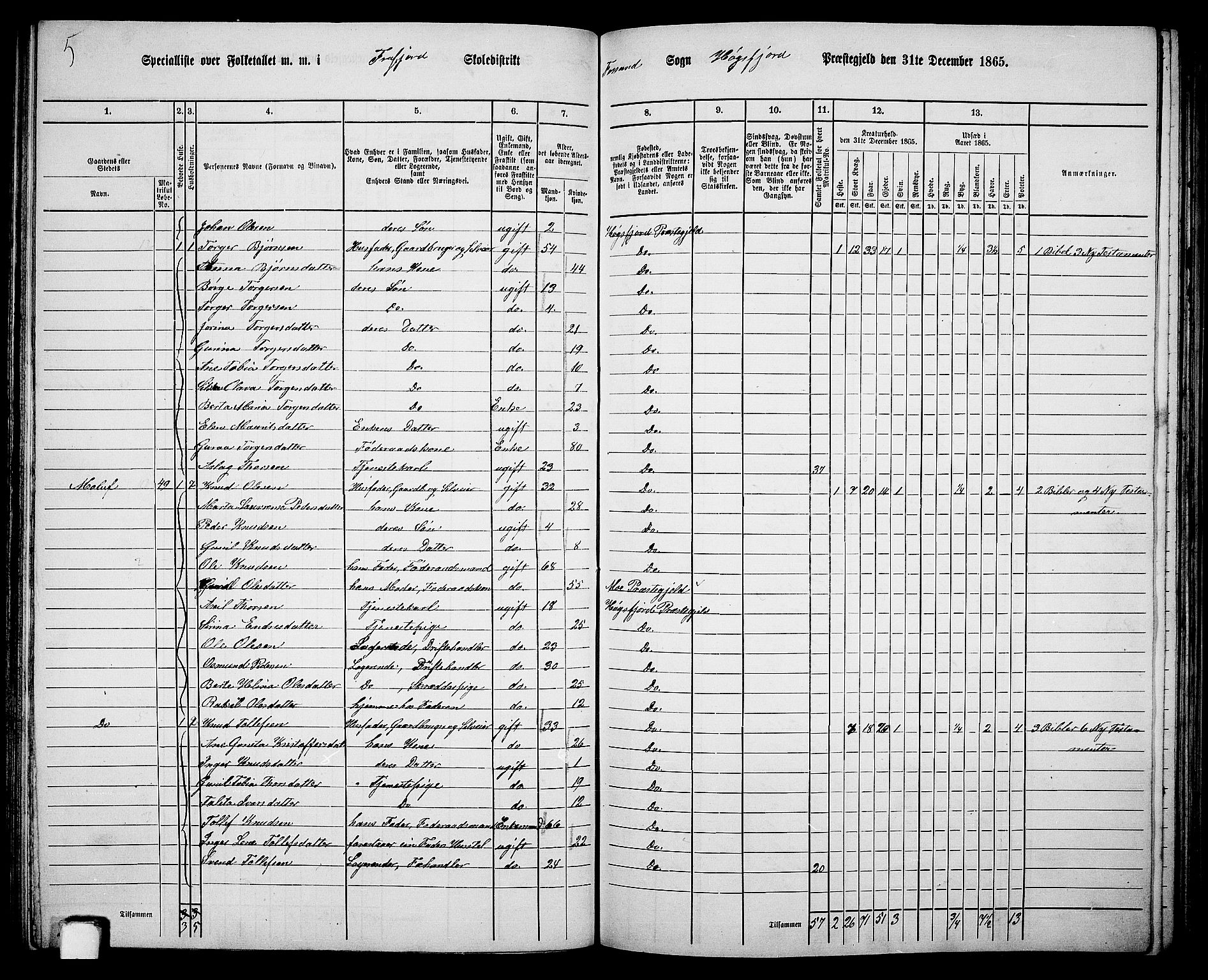 RA, 1865 census for Høgsfjord, 1865, p. 73