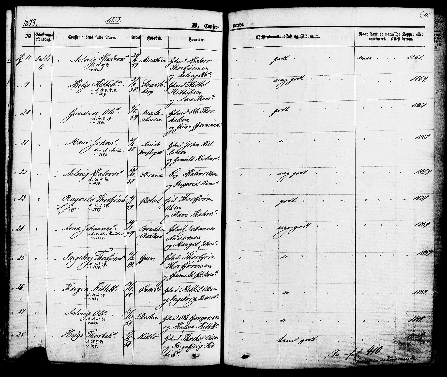 Hjartdal kirkebøker, SAKO/A-270/F/Fa/L0009: Parish register (official) no. I 9, 1860-1879, p. 248