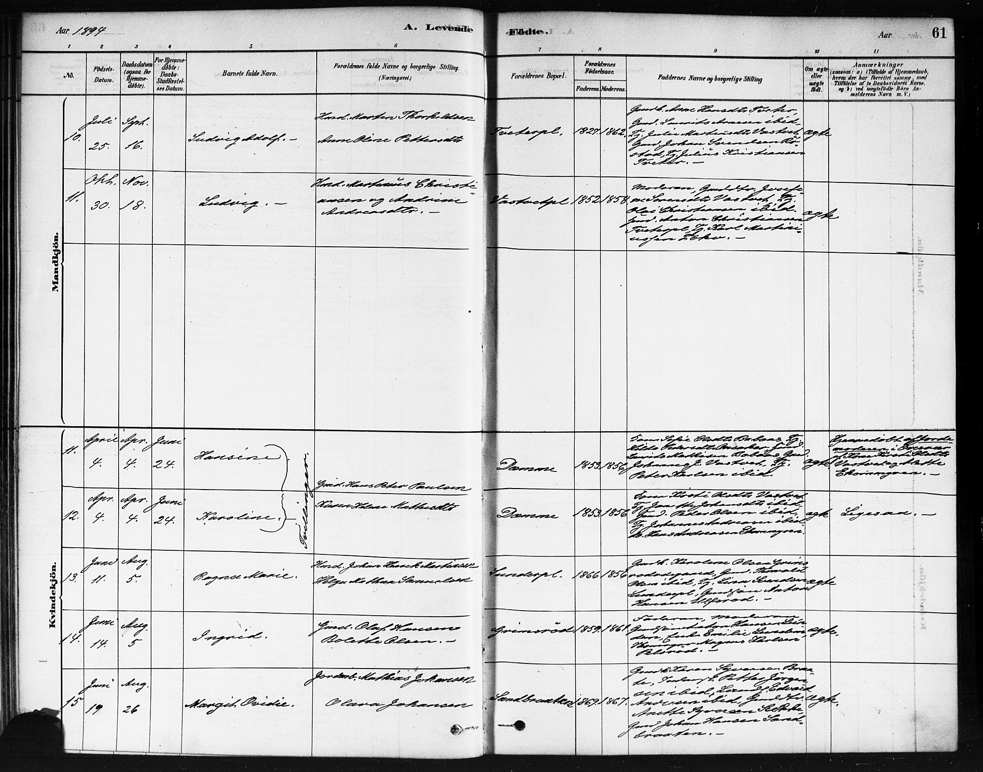 Våler prestekontor Kirkebøker, AV/SAO-A-11083/F/Fb/L0001: Parish register (official) no. II 1, 1878-1896, p. 61