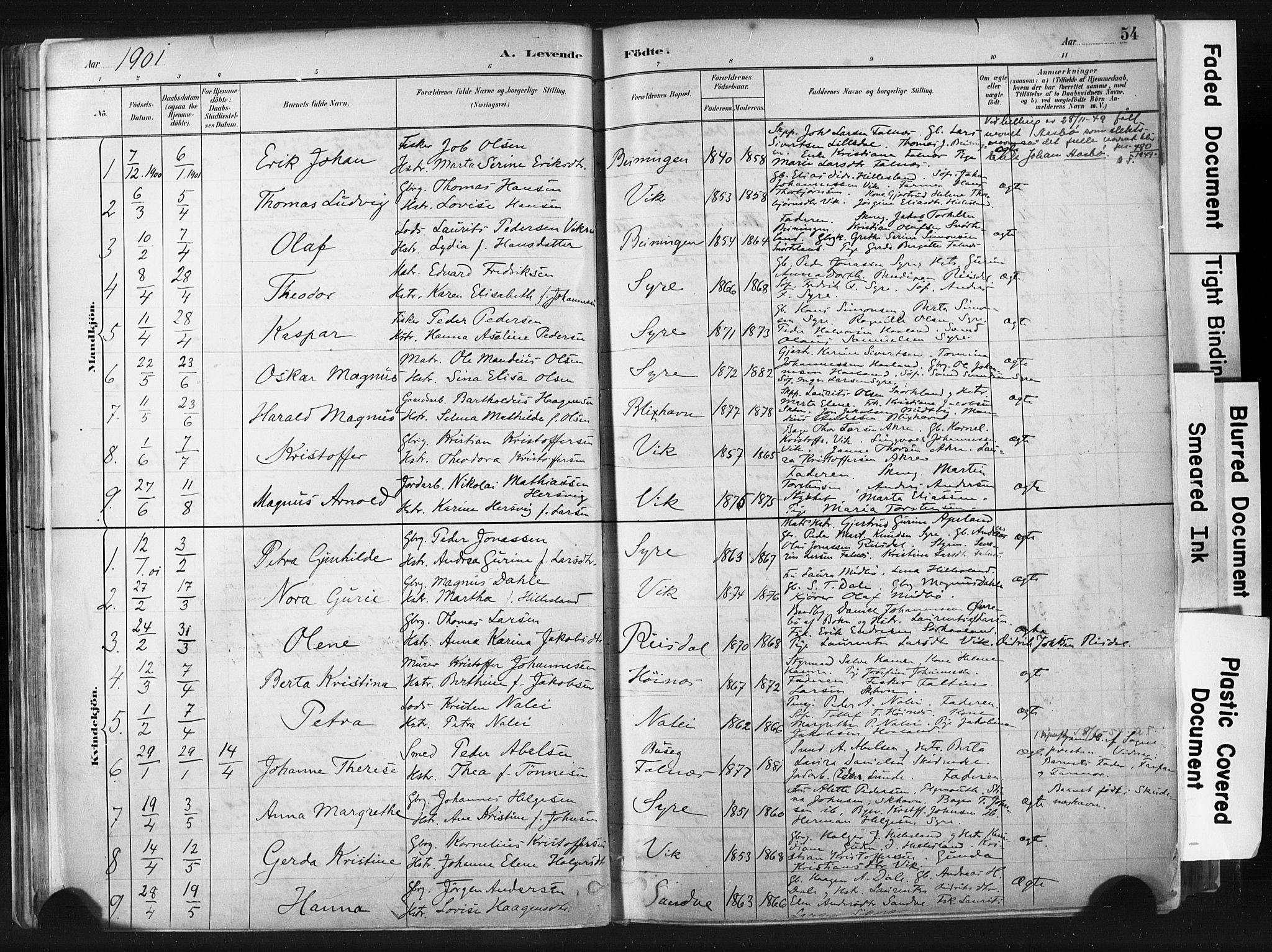 Skudenes sokneprestkontor, SAST/A -101849/H/Ha/Haa/L0009: Parish register (official) no. A 6, 1882-1912, p. 54