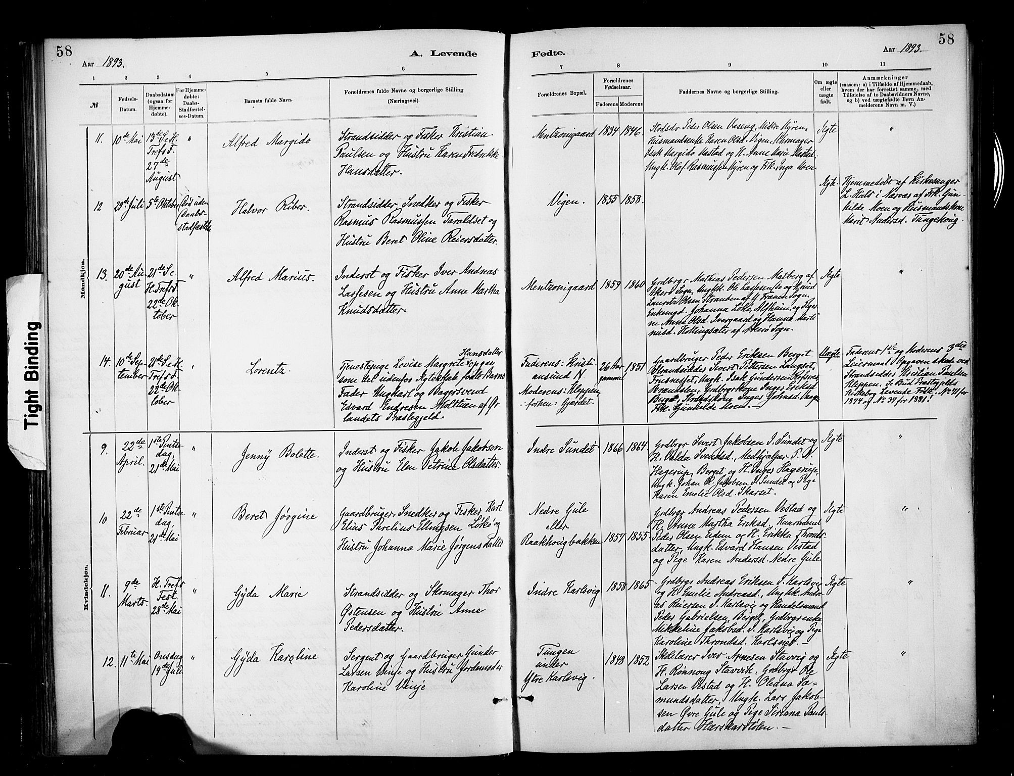 Ministerialprotokoller, klokkerbøker og fødselsregistre - Møre og Romsdal, AV/SAT-A-1454/566/L0769: Parish register (official) no. 566A08, 1881-1903, p. 58