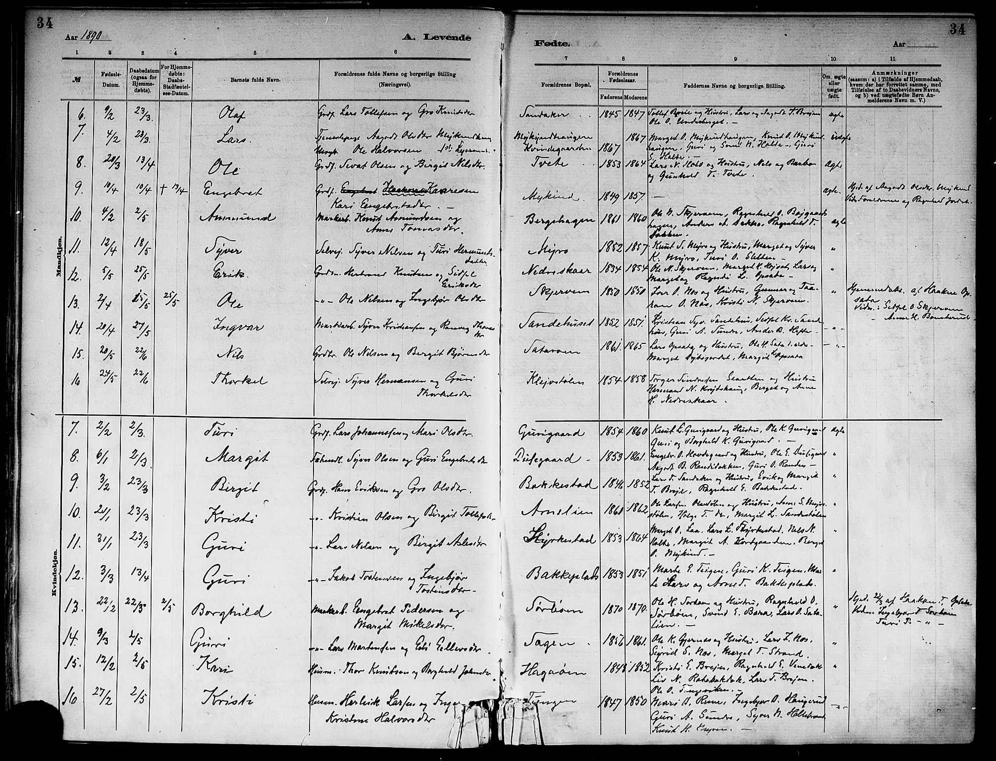 Ål kirkebøker, SAKO/A-249/F/Fa/L0008: Parish register (official) no. I 8, 1882-1896, p. 34