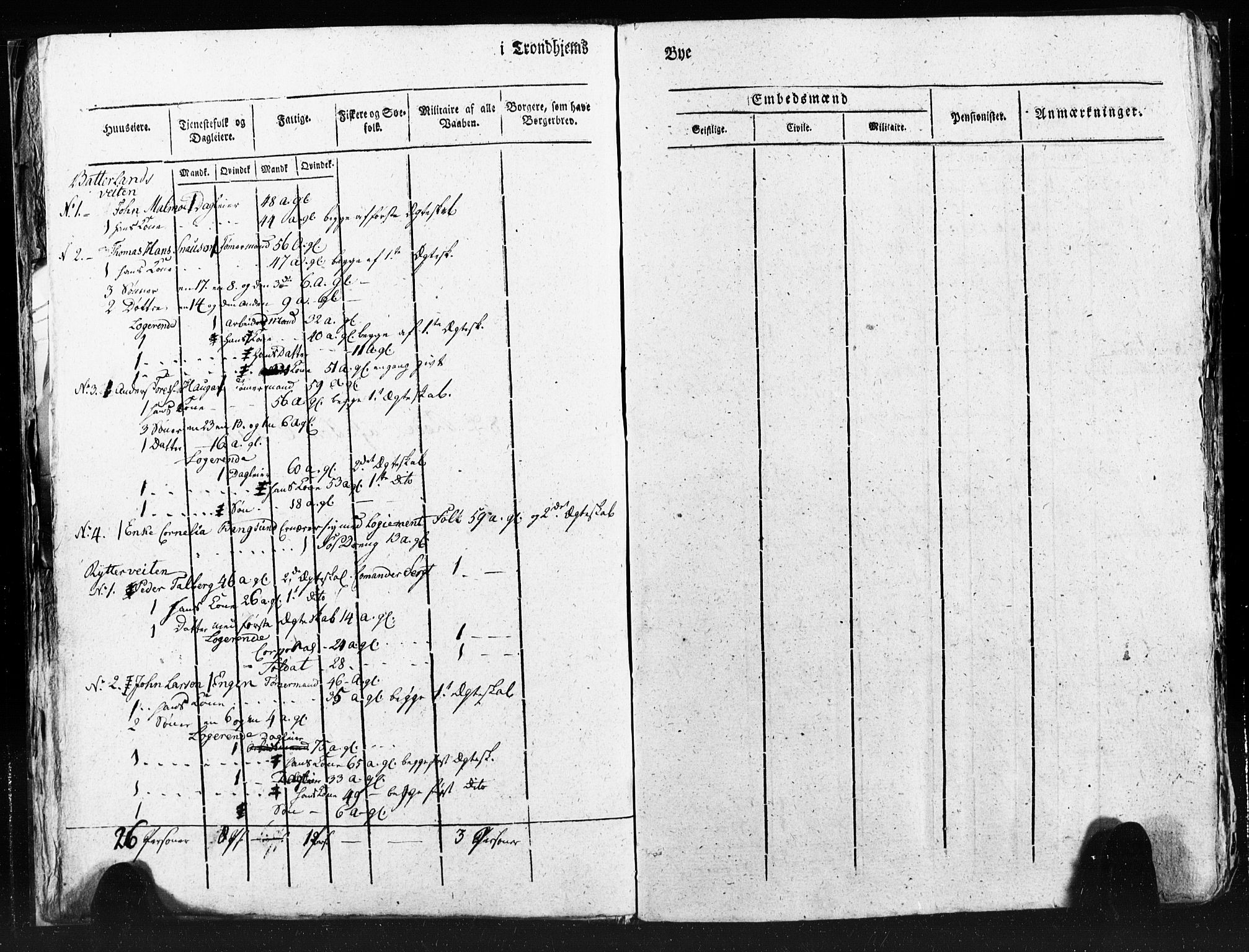 SAT, Census 1815 for Trondheim (transcript), 1815, p. 219