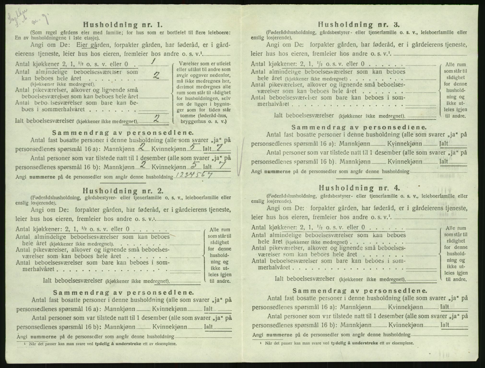 SAK, 1920 census for Hornnes, 1920, p. 396