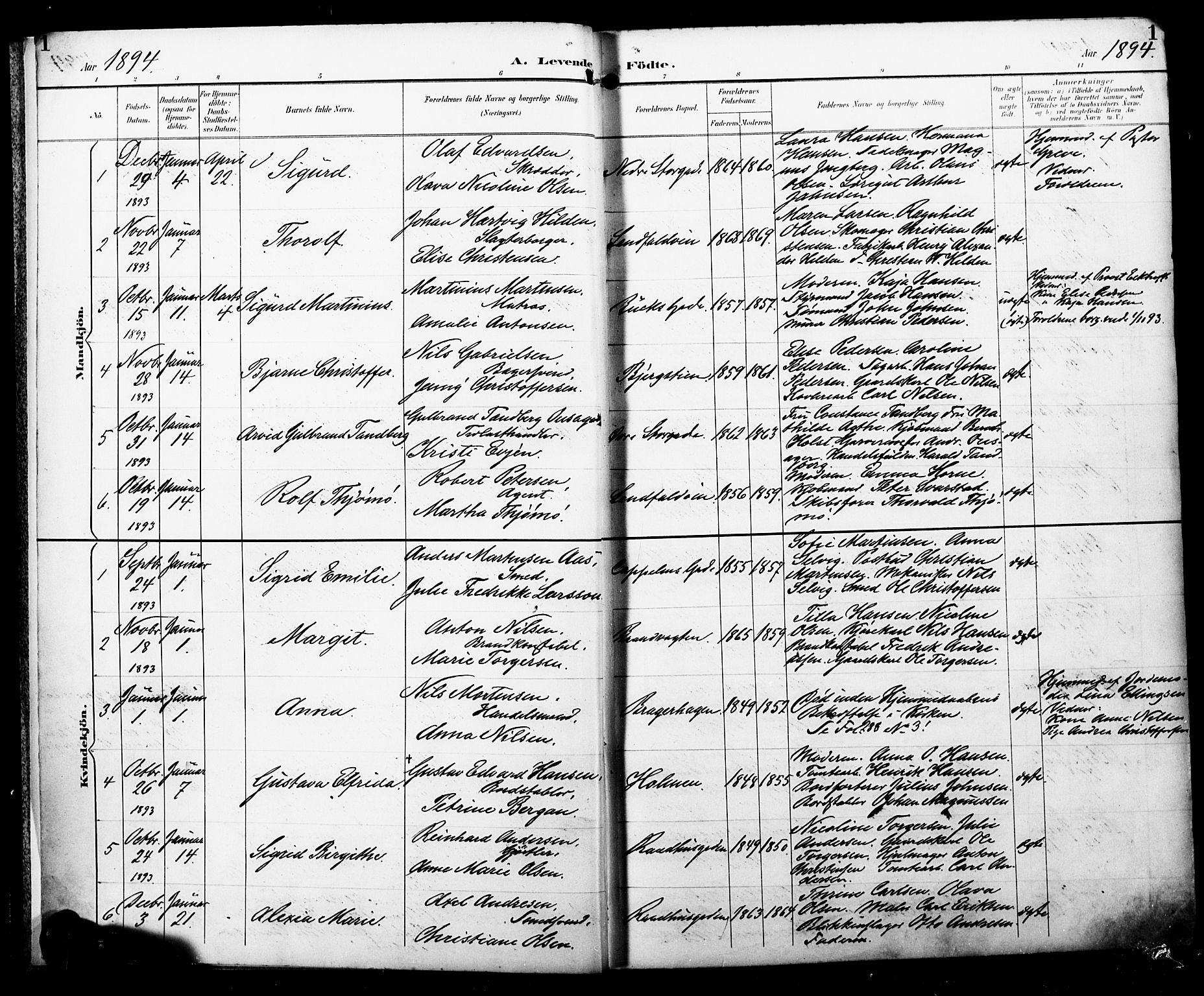 Bragernes kirkebøker, SAKO/A-6/F/Fb/L0008: Parish register (official) no. II 8, 1894-1902, p. 1