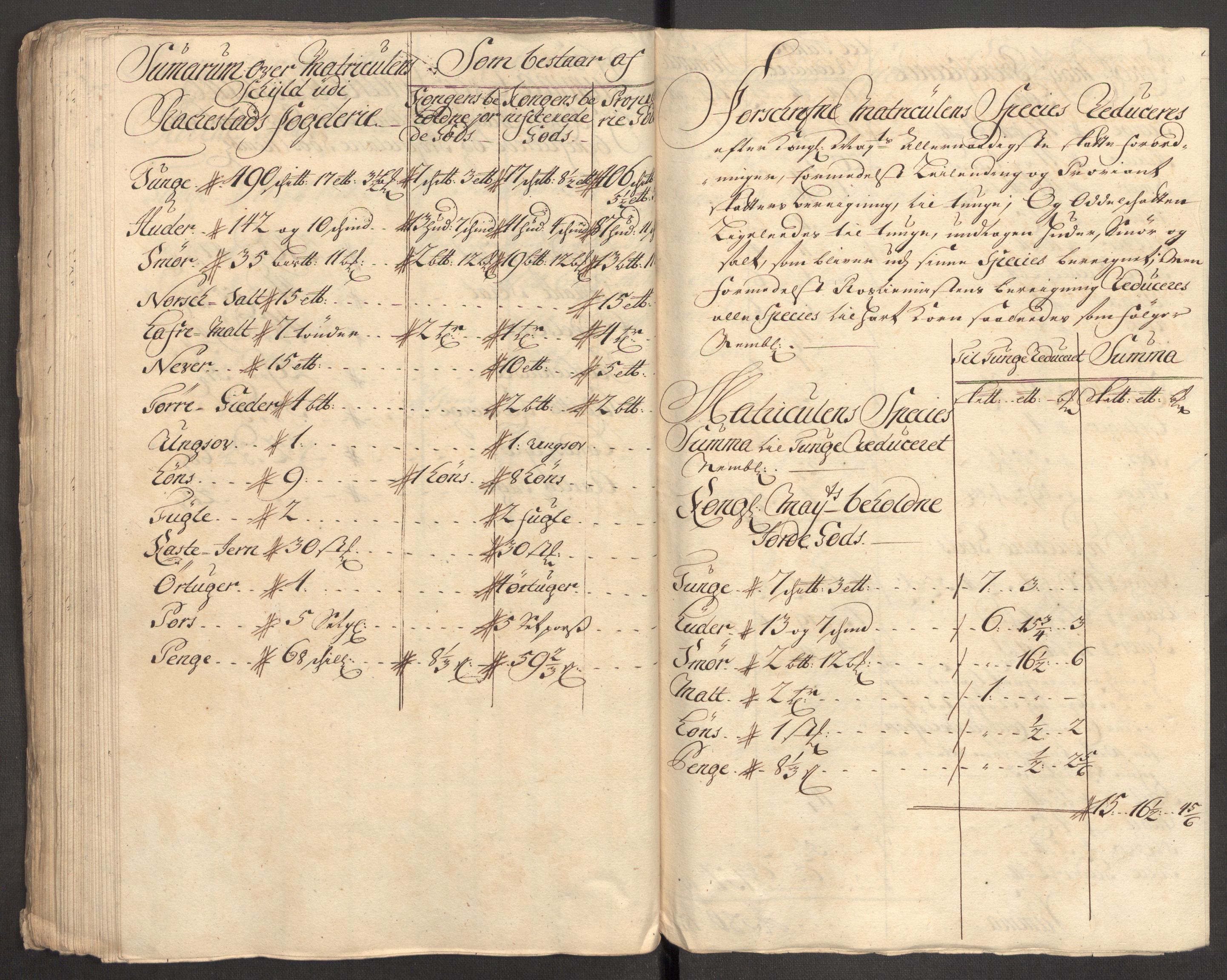 Rentekammeret inntil 1814, Reviderte regnskaper, Fogderegnskap, AV/RA-EA-4092/R07/L0306: Fogderegnskap Rakkestad, Heggen og Frøland, 1713, p. 96