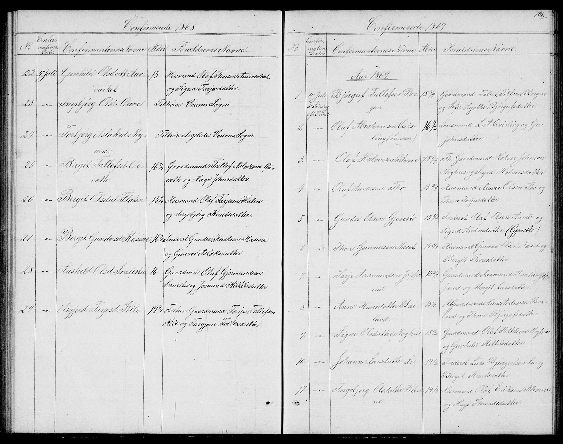 Fyresdal kirkebøker, SAKO/A-263/G/Ga/L0004: Parish register (copy) no. I 4, 1864-1892, p. 104