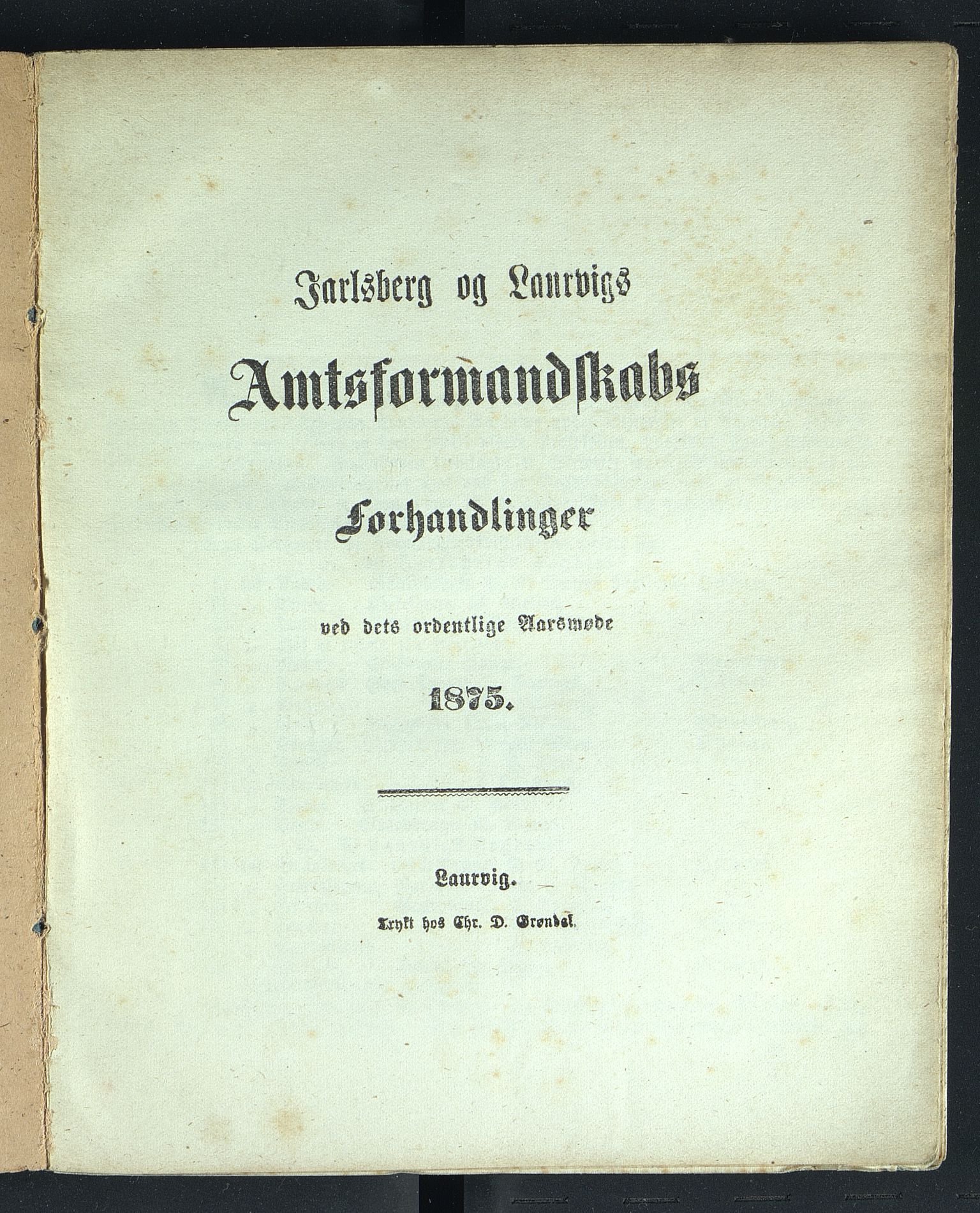 Vestfold fylkeskommune. Fylkestinget, VEMU/A-1315/A/Ab/Abb/L0022: Fylkestingsforhandlinger, 1875