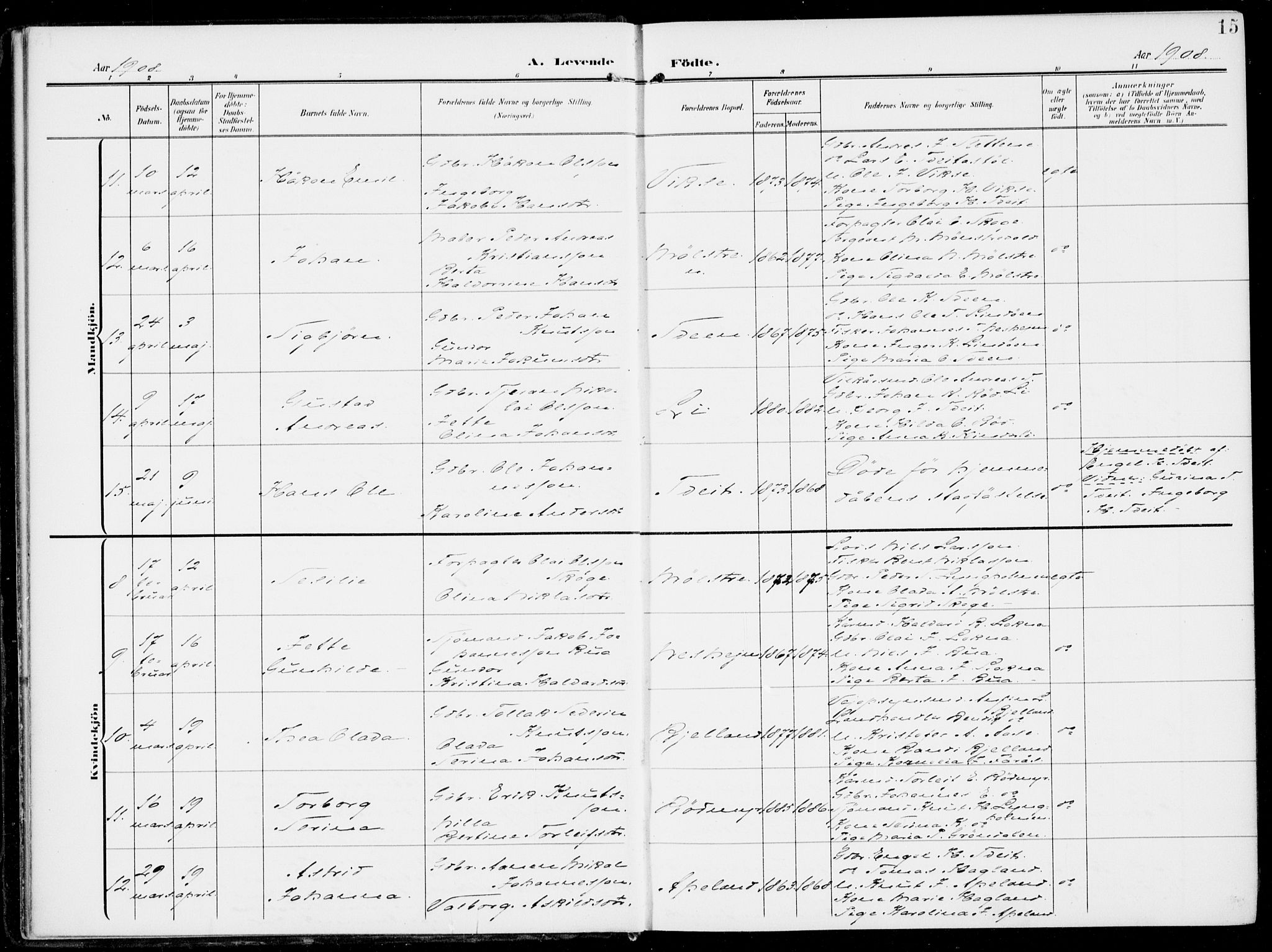 Sveio Sokneprestembete, AV/SAB-A-78501/H/Haa: Parish register (official) no. B  4, 1906-1919, p. 15