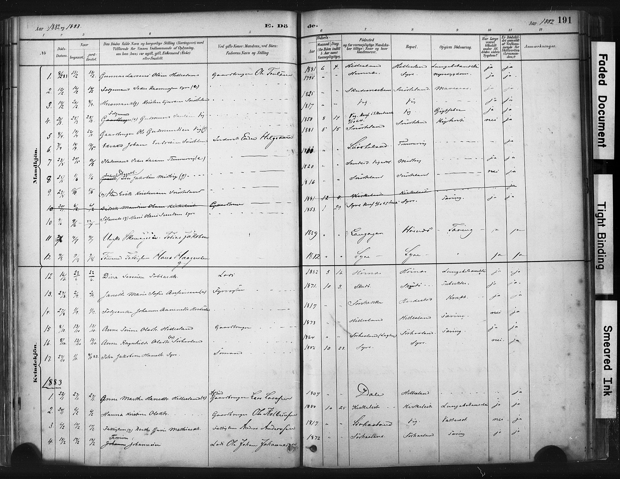 Skudenes sokneprestkontor, SAST/A -101849/H/Ha/Haa/L0009: Parish register (official) no. A 6, 1882-1912, p. 191