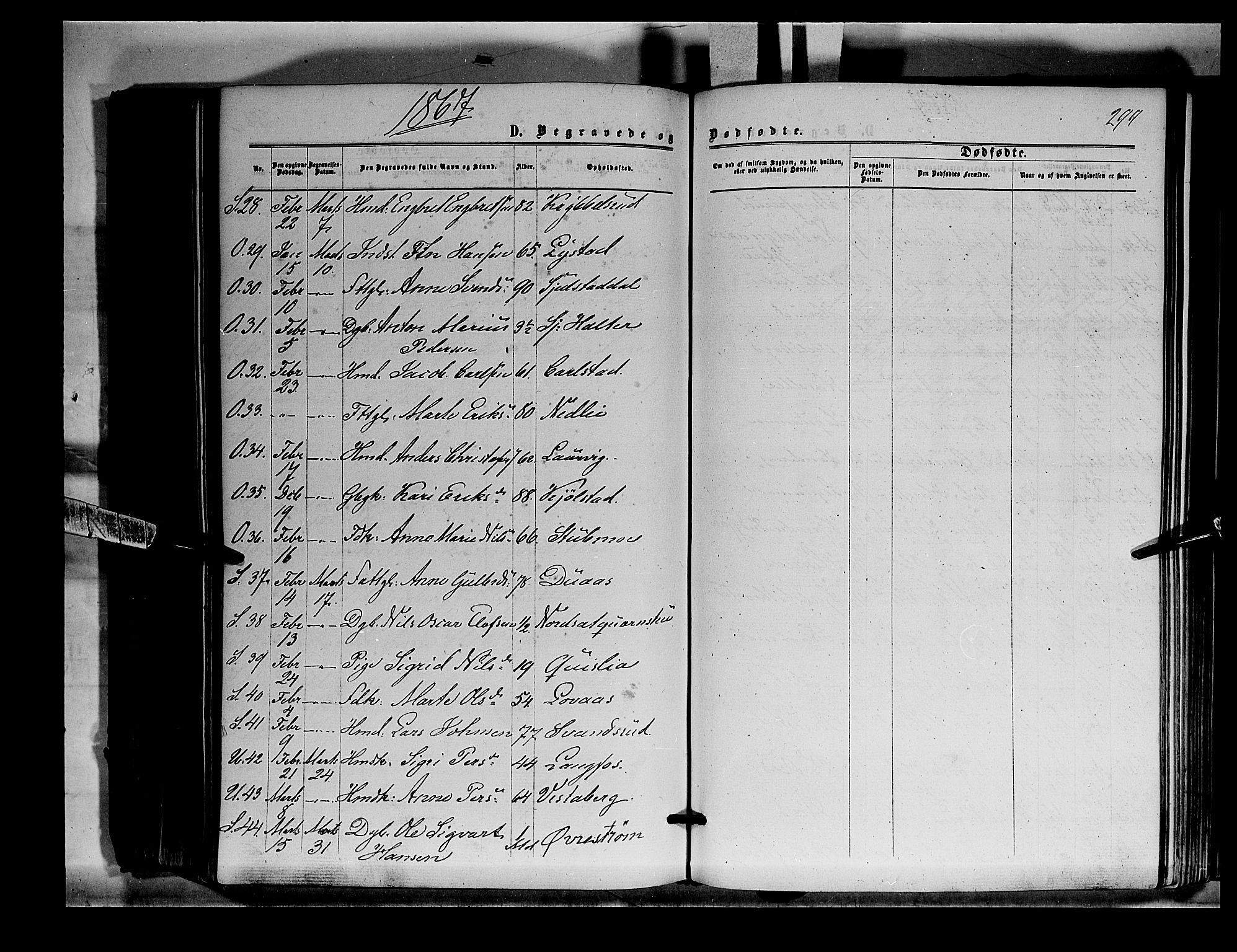 Sør-Odal prestekontor, AV/SAH-PREST-030/H/Ha/Haa/L0003: Parish register (official) no. 3, 1864-1870, p. 299