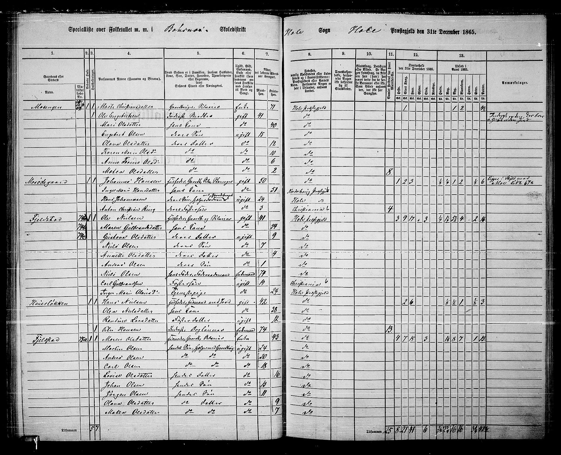 RA, 1865 census for Hole, 1865, p. 71