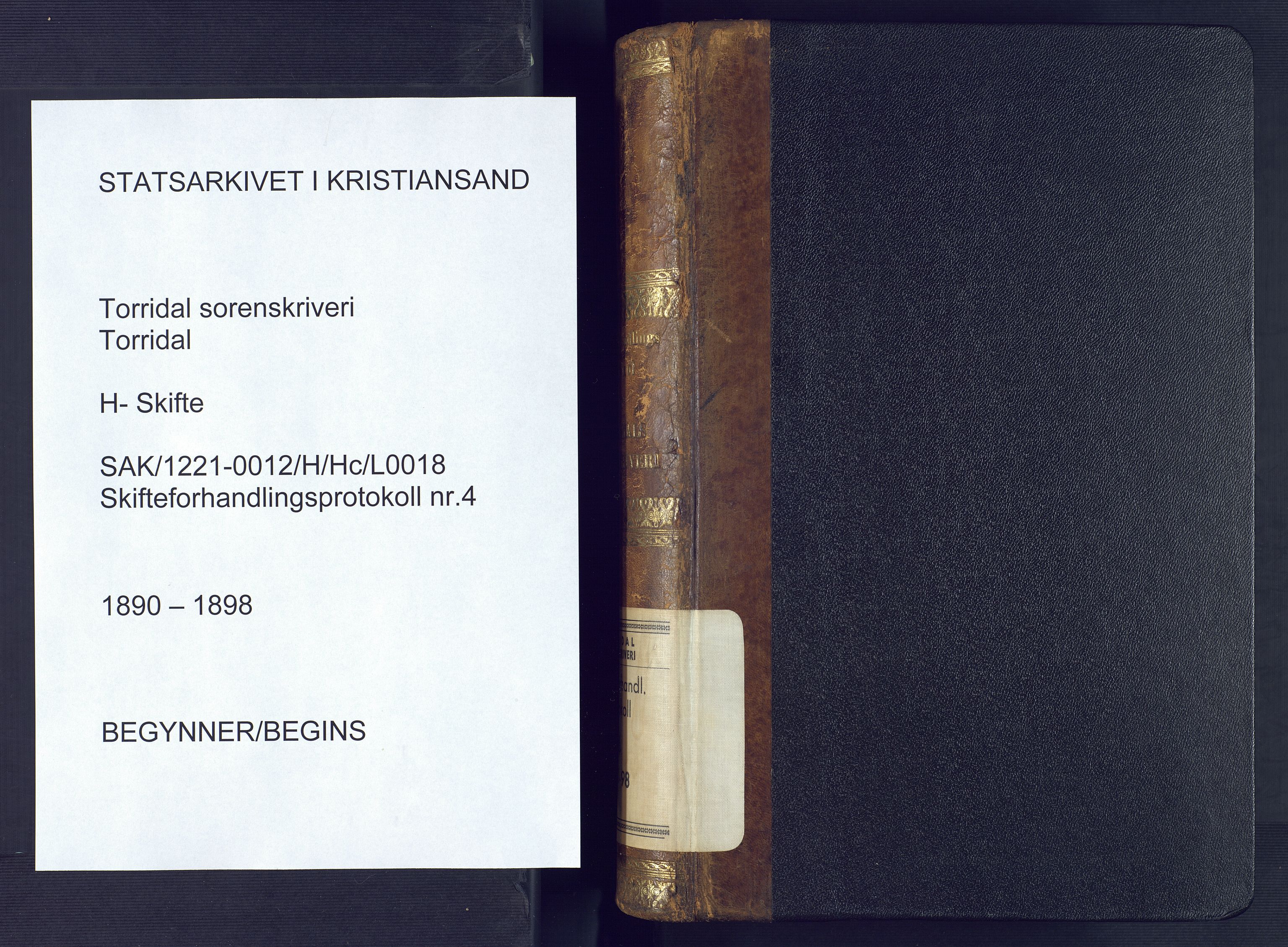Torridal sorenskriveri, SAK/1221-0012/H/Hc/L0018: Skifteforhandlingsprotokoll med navneregister nr. 4, 1890-1898