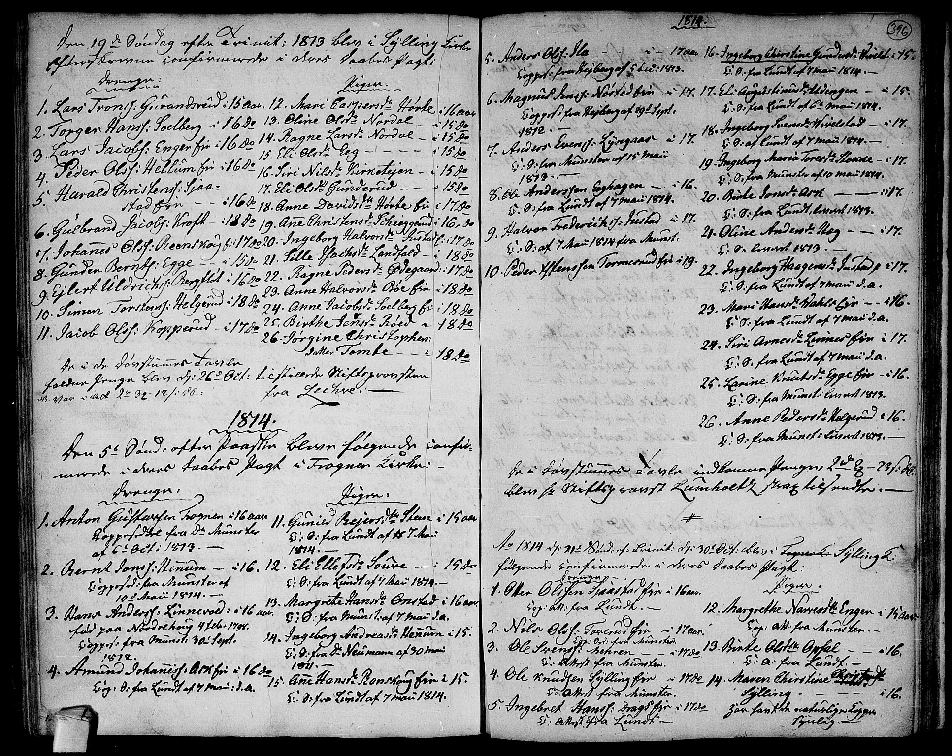 Lier kirkebøker, AV/SAKO-A-230/F/Fa/L0007: Parish register (official) no. I 7, 1794-1813, p. 396