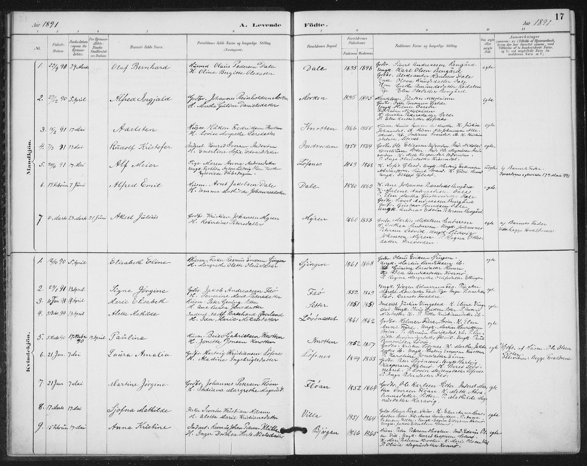 Ministerialprotokoller, klokkerbøker og fødselsregistre - Nord-Trøndelag, SAT/A-1458/772/L0603: Parish register (official) no. 772A01, 1885-1912, p. 17
