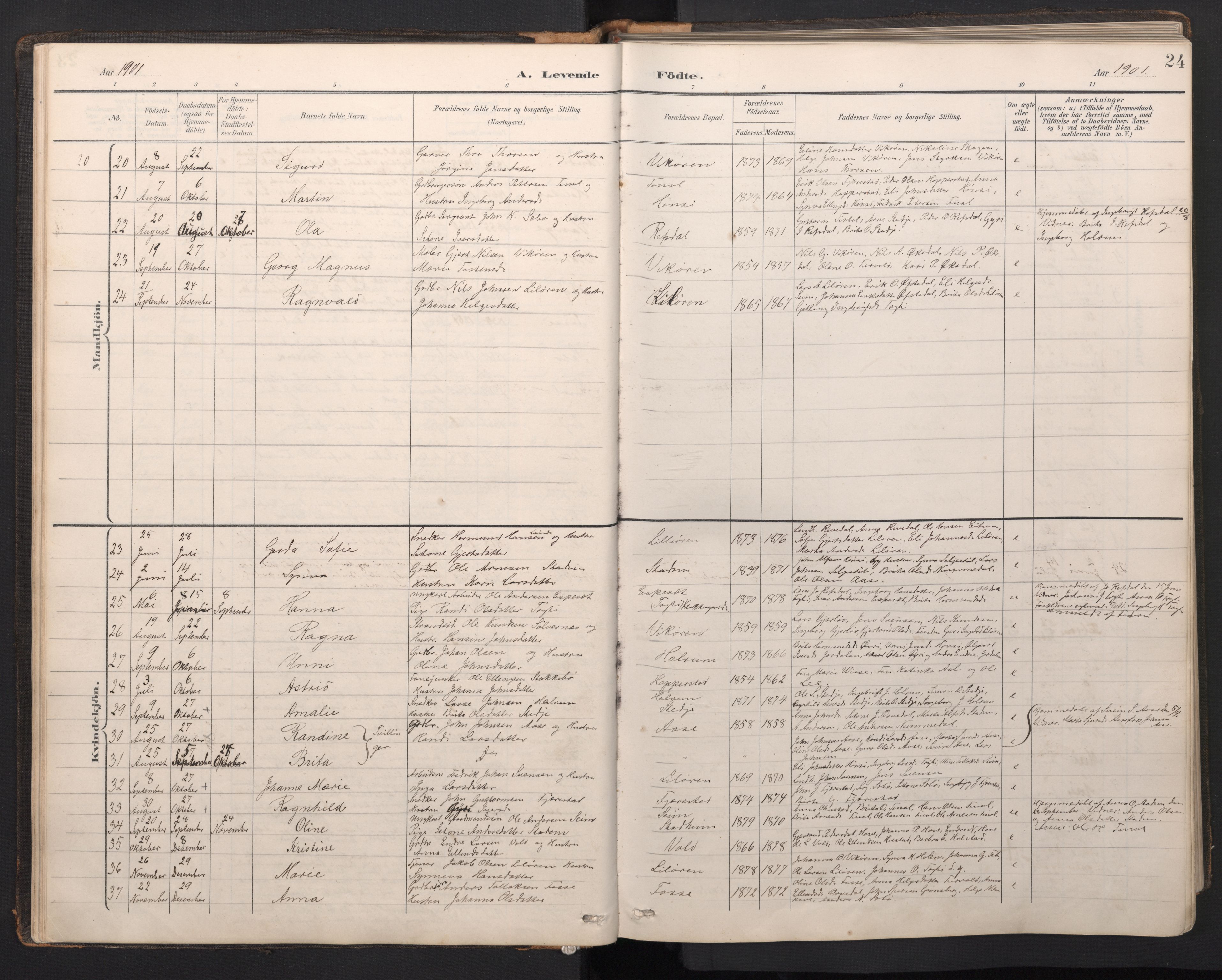 Vik sokneprestembete, AV/SAB-A-81501/H/Hab/Haba/L0004: Parish register (copy) no. A 4, 1895-1914, p. 23b-24a