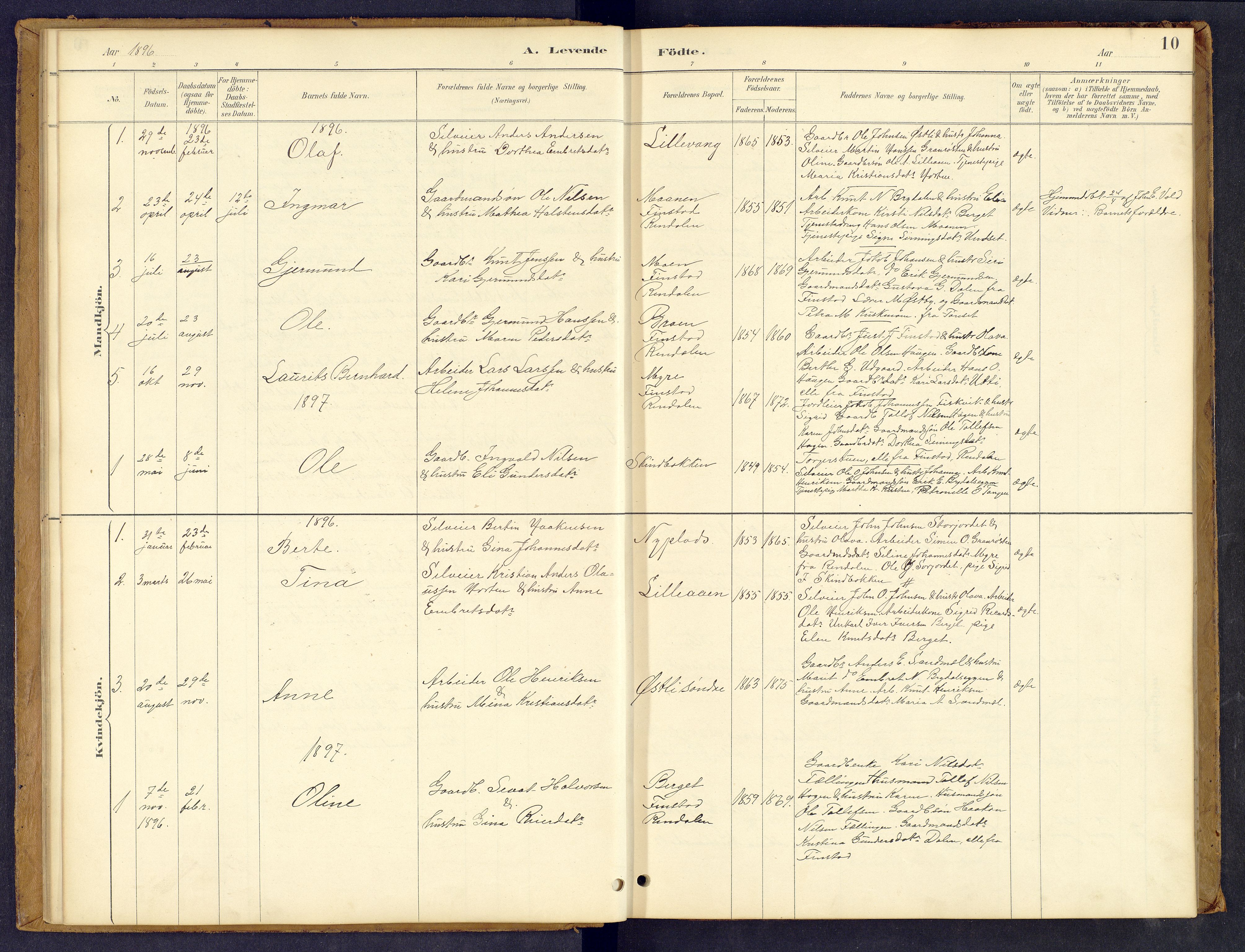 Tynset prestekontor, SAH/PREST-058/H/Ha/Hab/L0008: Parish register (copy) no. 8, 1884-1916, p. 10