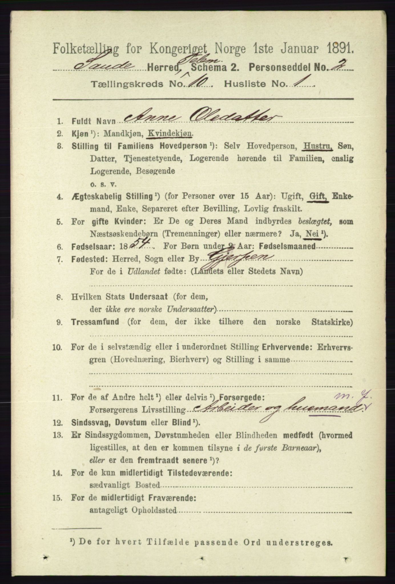 RA, 1891 census for 0822 Sauherad, 1891, p. 3004