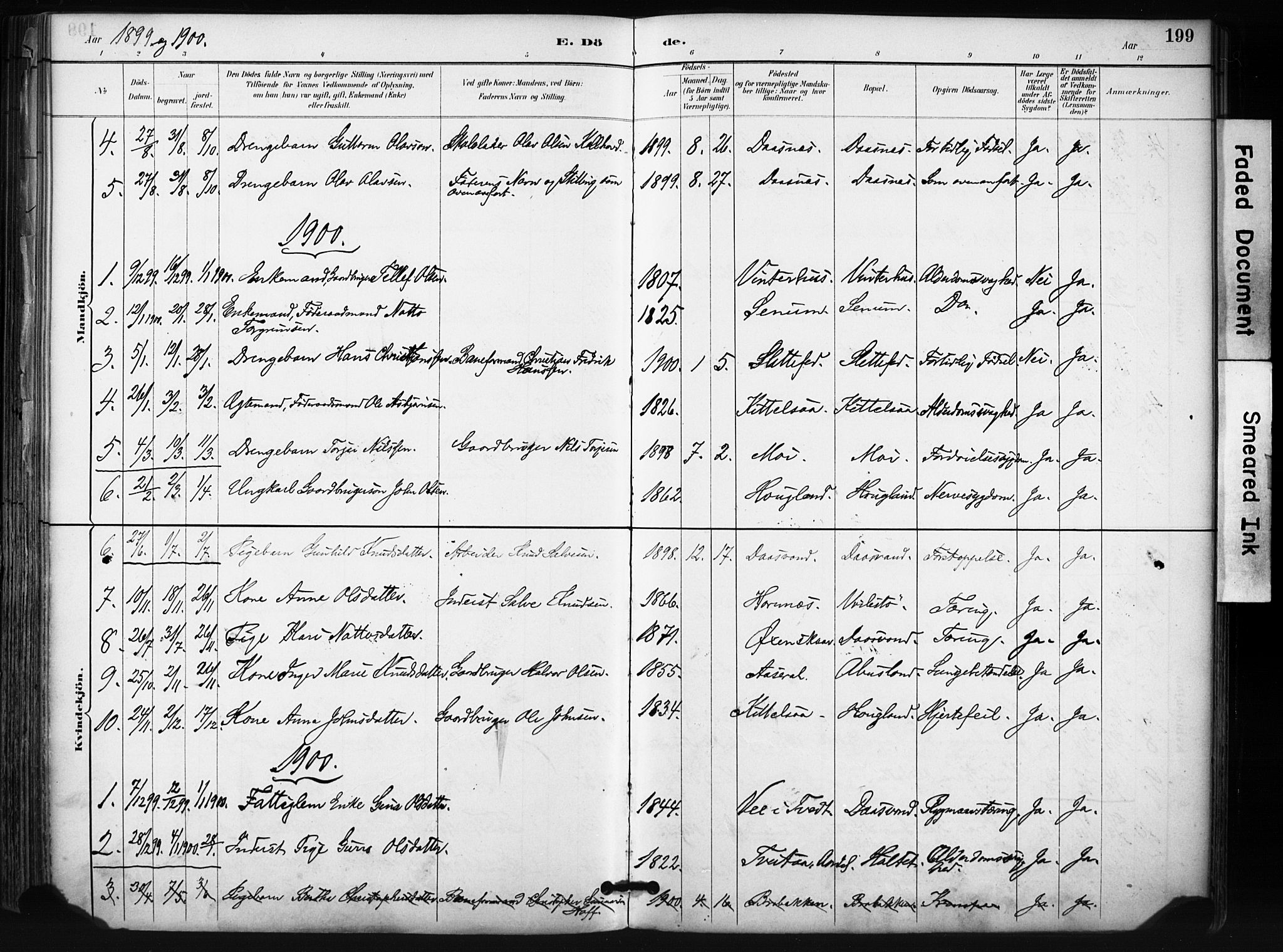 Evje sokneprestkontor, SAK/1111-0008/F/Fa/Fab/L0003: Parish register (official) no. A 3, 1884-1909, p. 199