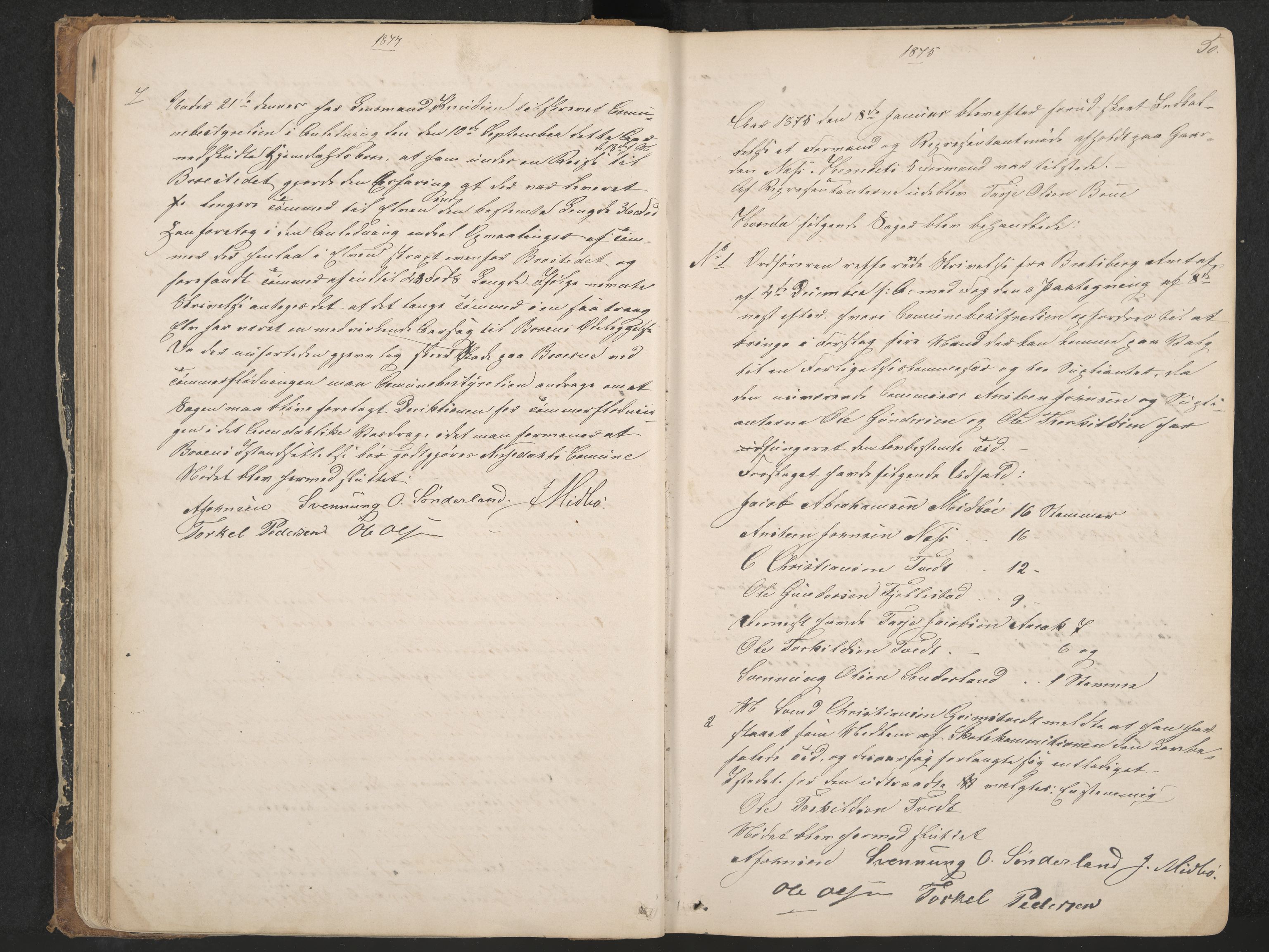 Nissedal formannskap og sentraladministrasjon, IKAK/0830021-1/A/L0002: Møtebok, 1870-1892, p. 50