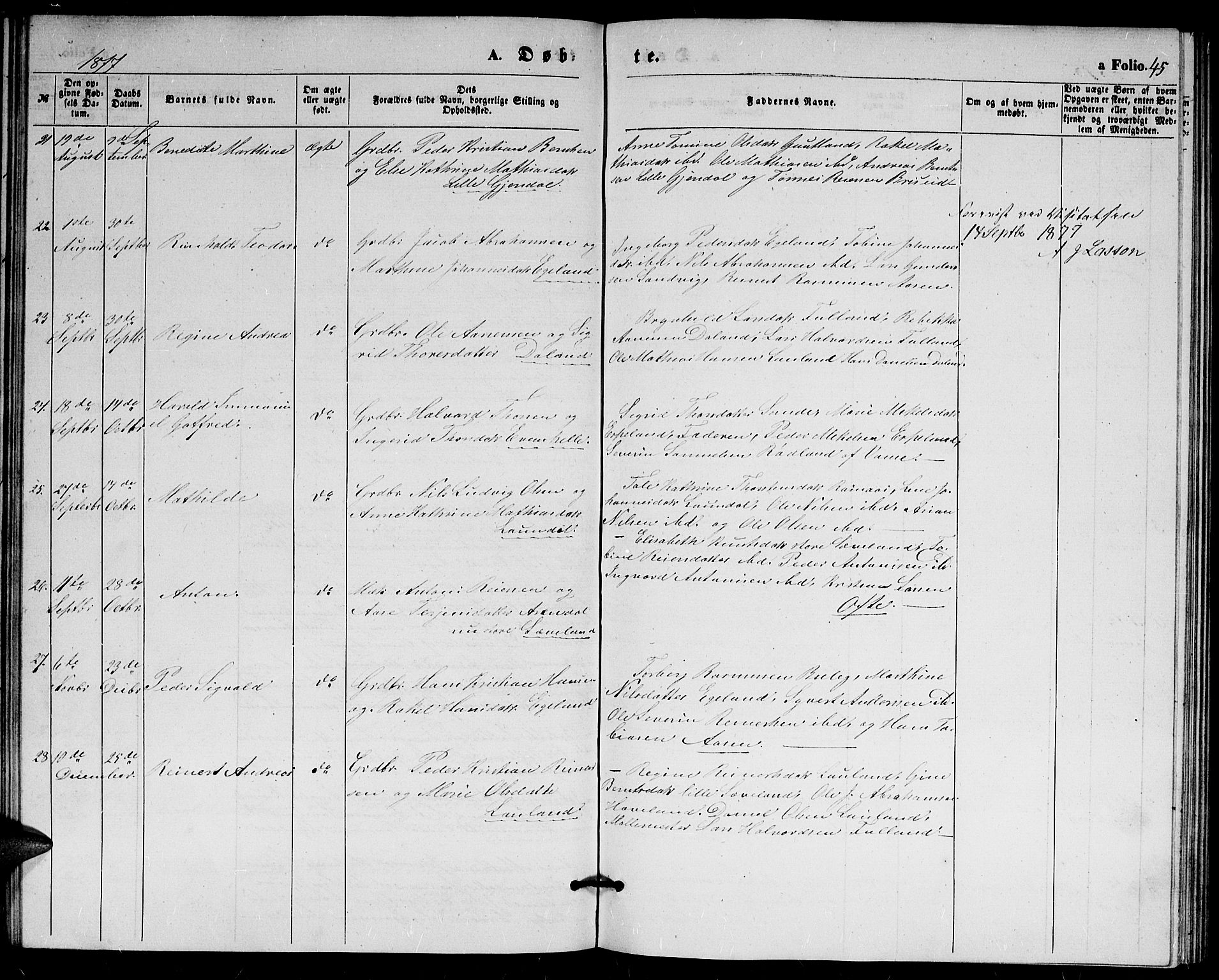 Herad sokneprestkontor, AV/SAK-1111-0018/F/Fb/Fba/L0003: Parish register (copy) no. B 3, 1863-1883, p. 45