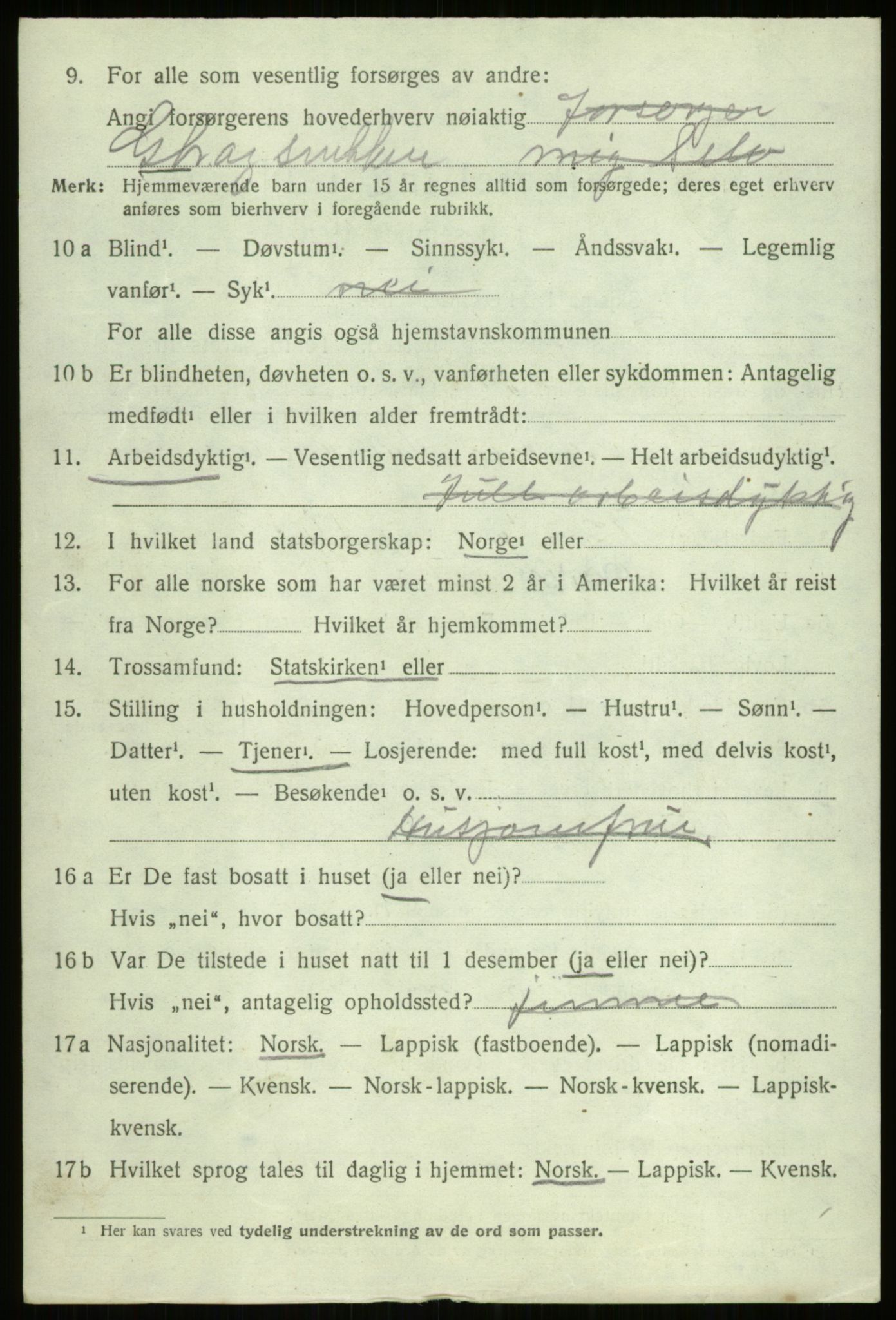 SATØ, 1920 census for Ibestad, 1920, p. 13237