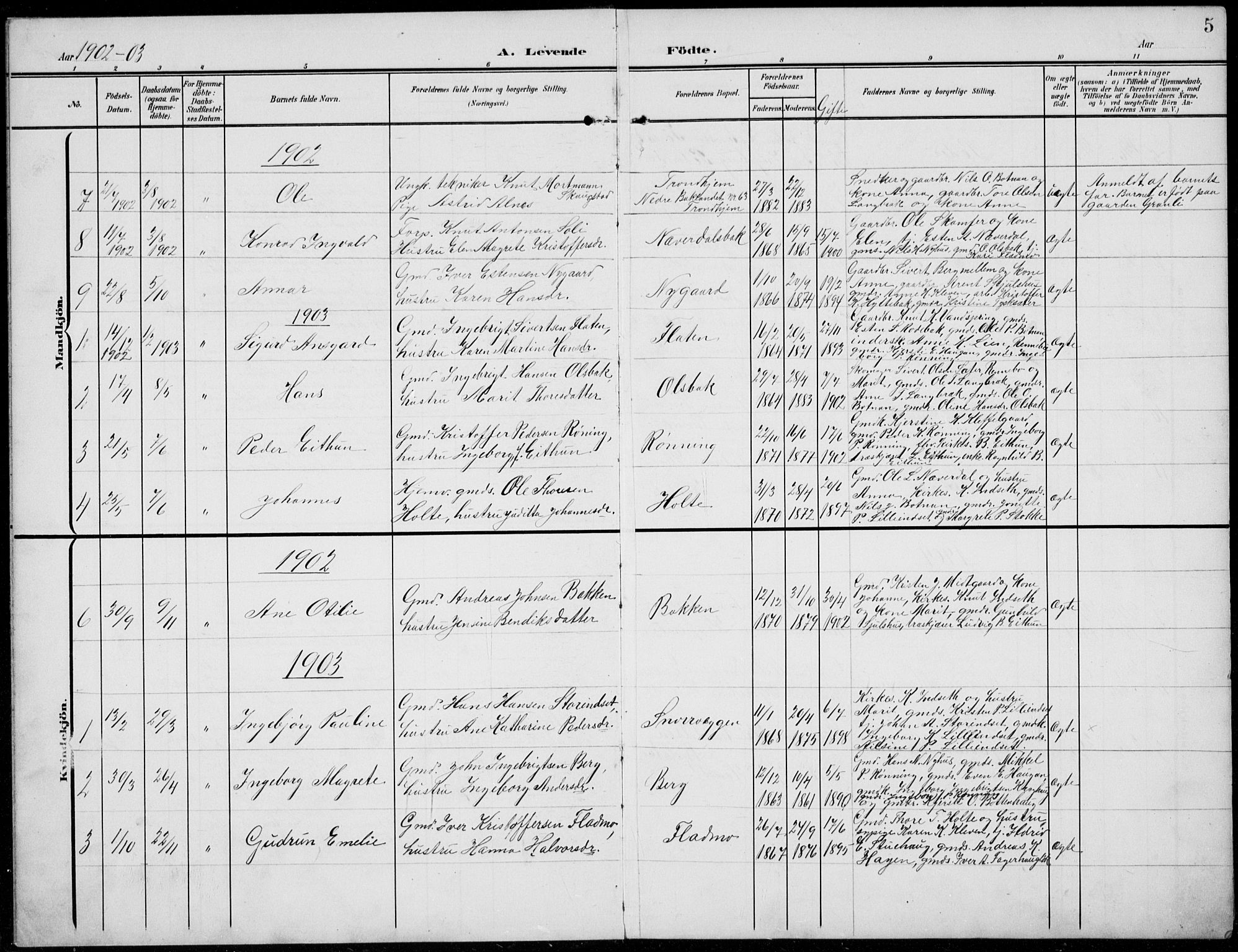 Kvikne prestekontor, AV/SAH-PREST-064/H/Ha/Hab/L0004: Parish register (copy) no. 4, 1902-1937, p. 5