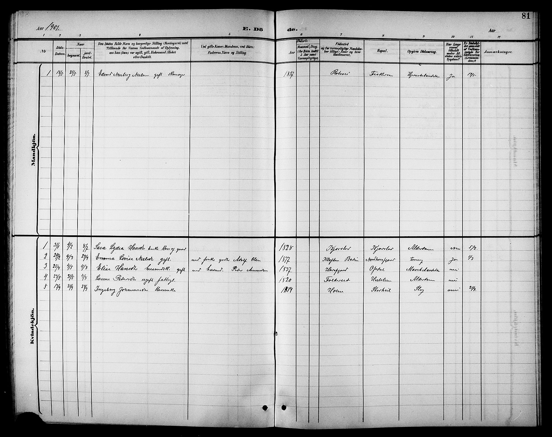 Ministerialprotokoller, klokkerbøker og fødselsregistre - Nordland, AV/SAT-A-1459/811/L0170: Parish register (copy) no. 811C02, 1896-1908, p. 81