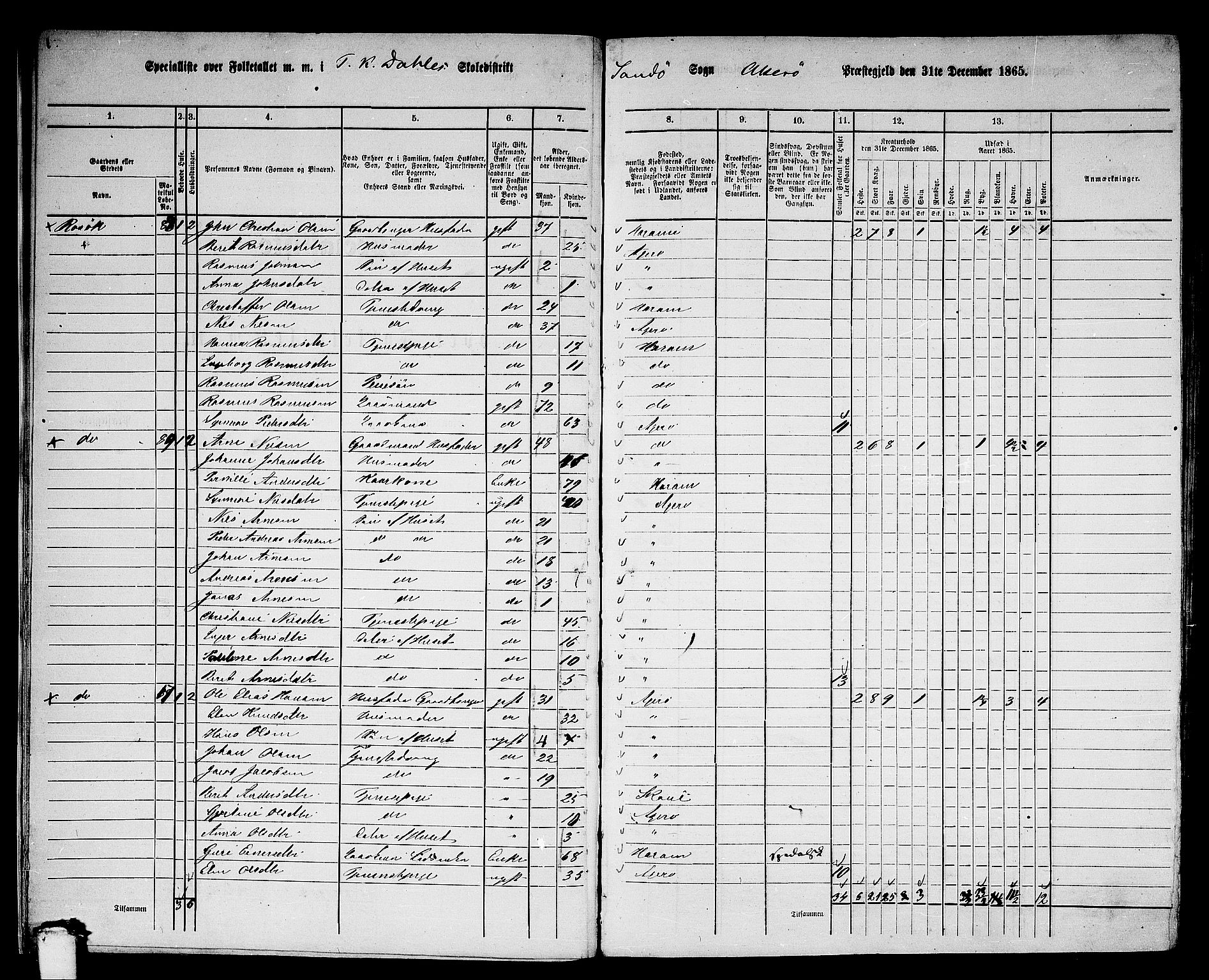 RA, 1865 census for Aukra, 1865, p. 13