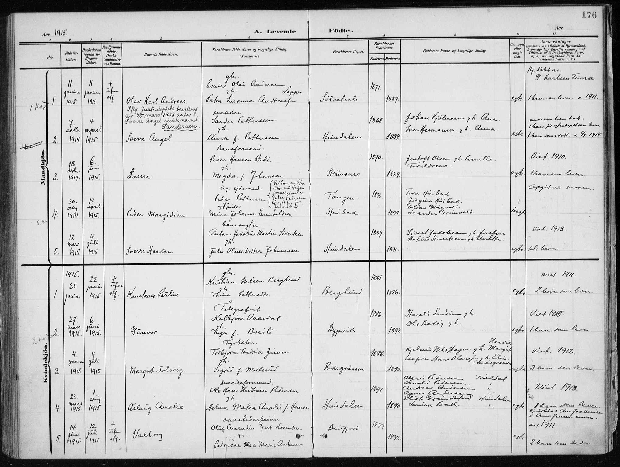 Ministerialprotokoller, klokkerbøker og fødselsregistre - Nordland, SAT/A-1459/866/L0941: Parish register (official) no. 866A04, 1901-1917, p. 176