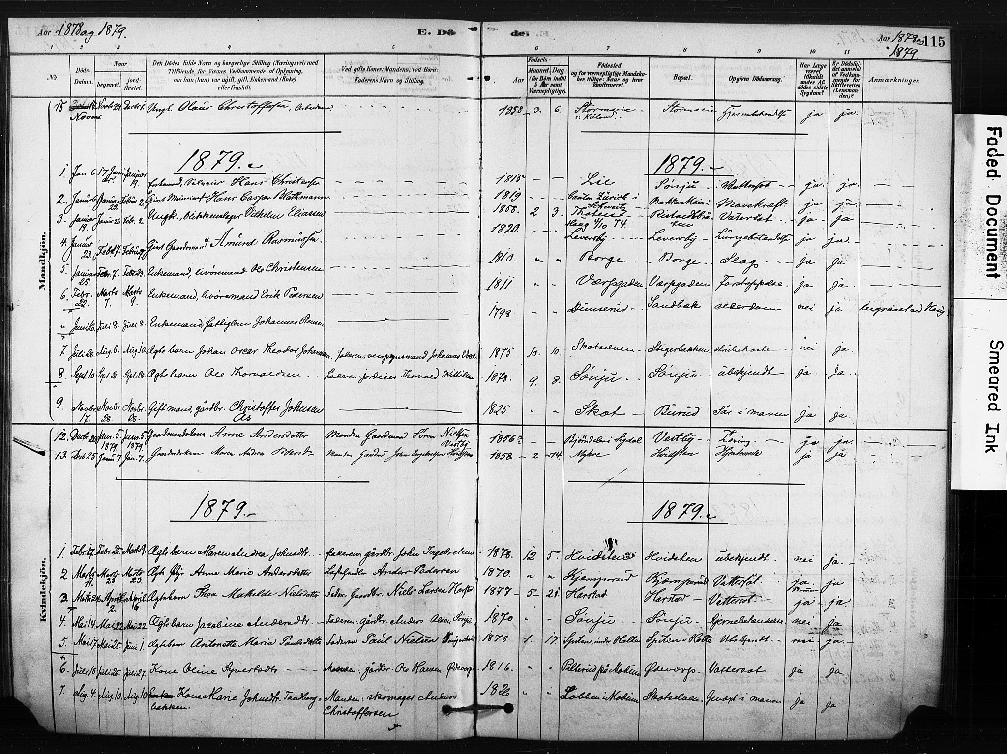 Eiker kirkebøker, AV/SAKO-A-4/F/Fc/L0001: Parish register (official) no. III 1, 1878-1889, p. 115