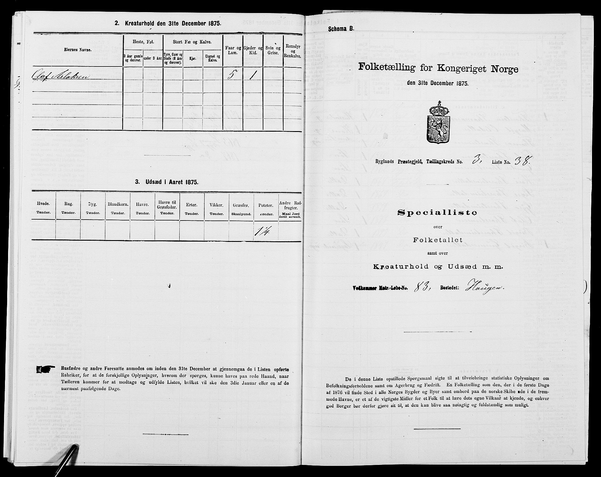 SAK, 1875 census for 0938P Bygland, 1875, p. 307