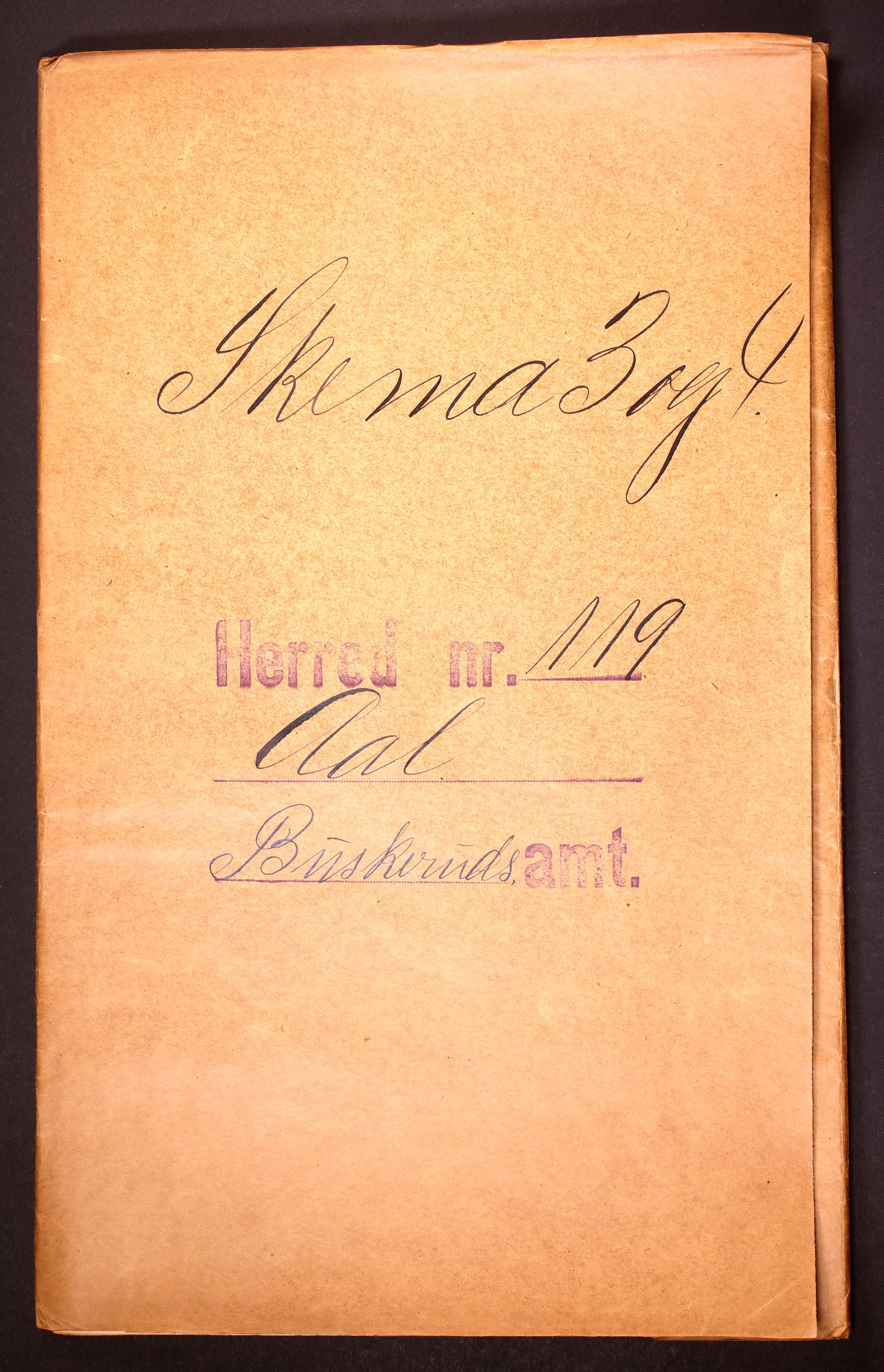 RA, 1910 census for Ål, 1910, p. 1