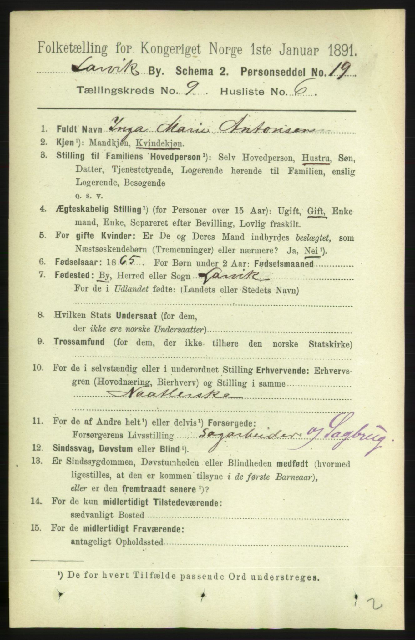 RA, 1891 census for 0707 Larvik, 1891, p. 8565