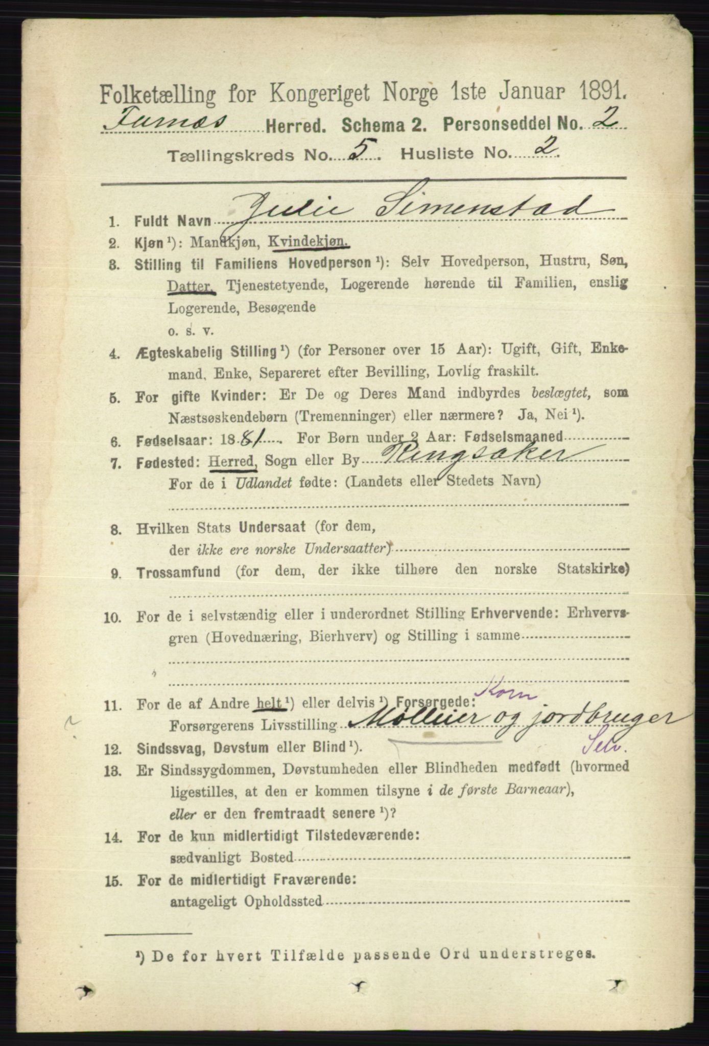 RA, Census 1891 for 0413 Furnes herred, 1891, p. 3162