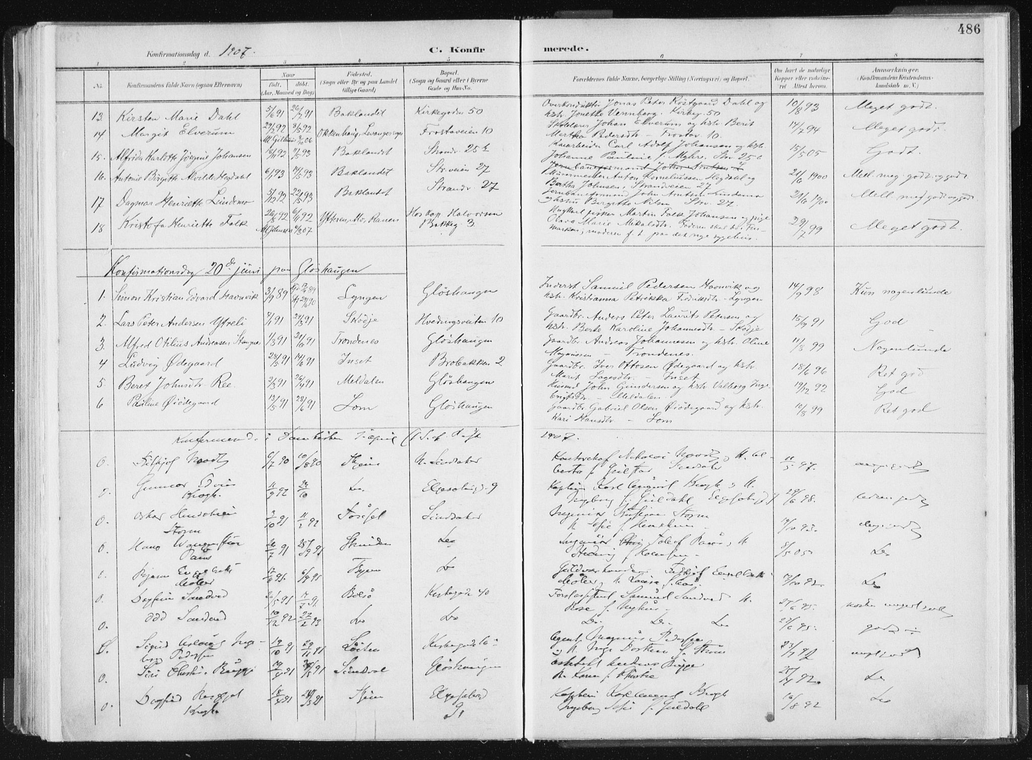 Ministerialprotokoller, klokkerbøker og fødselsregistre - Sør-Trøndelag, AV/SAT-A-1456/604/L0200: Parish register (official) no. 604A20II, 1901-1908, p. 486