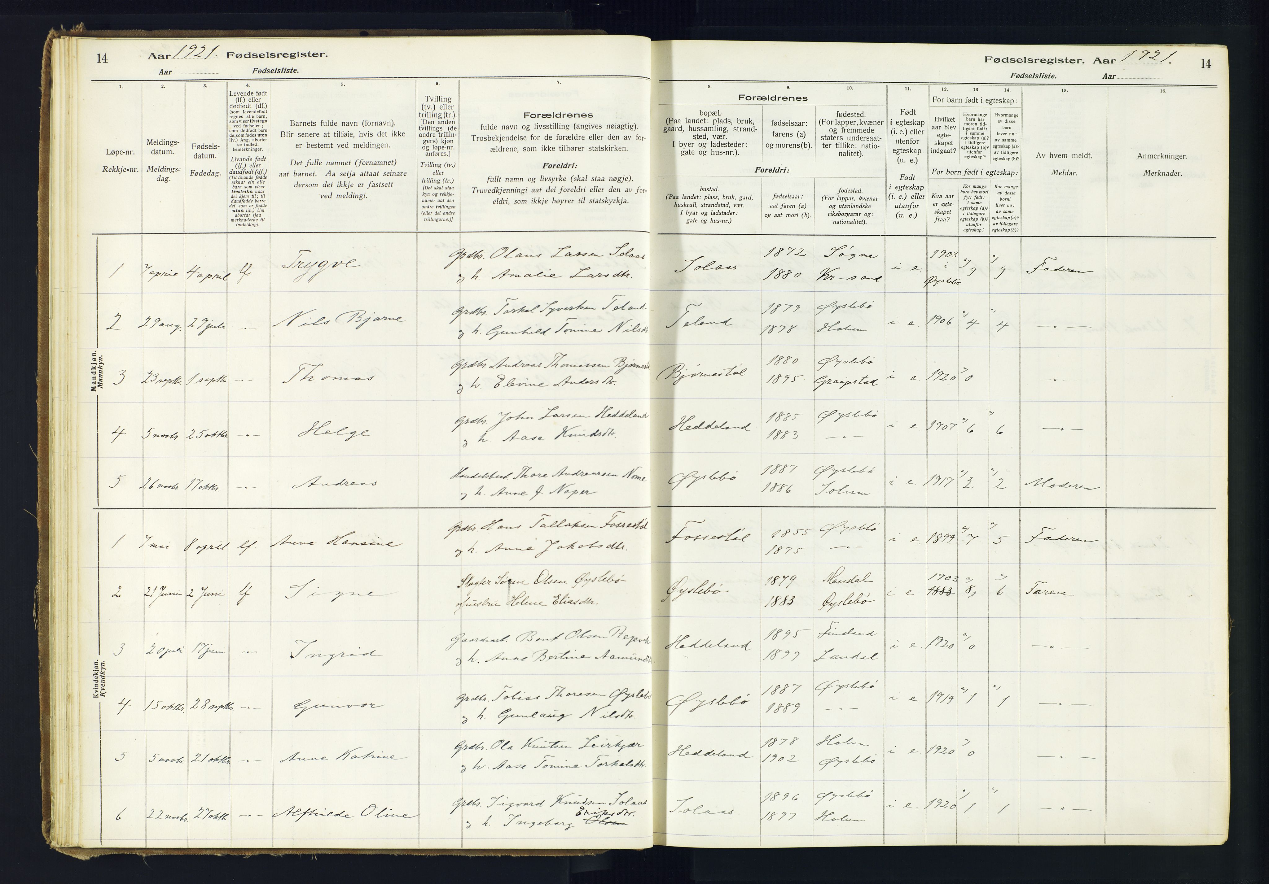 Holum sokneprestkontor, AV/SAK-1111-0022/J/Ja/L0002: Birth register no. II.6.11, 1916-1982, p. 14