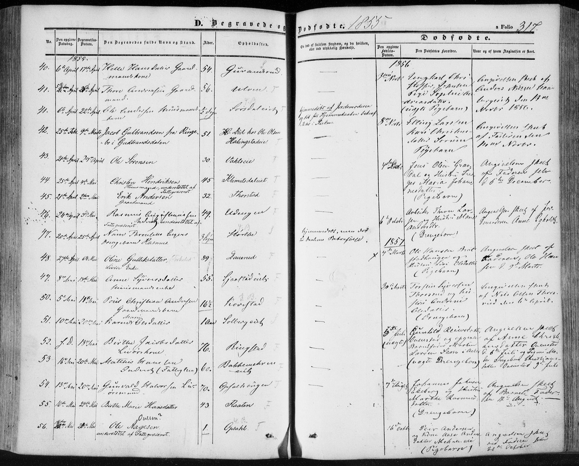 Lier kirkebøker, SAKO/A-230/F/Fa/L0012: Parish register (official) no. I 12, 1854-1864, p. 317