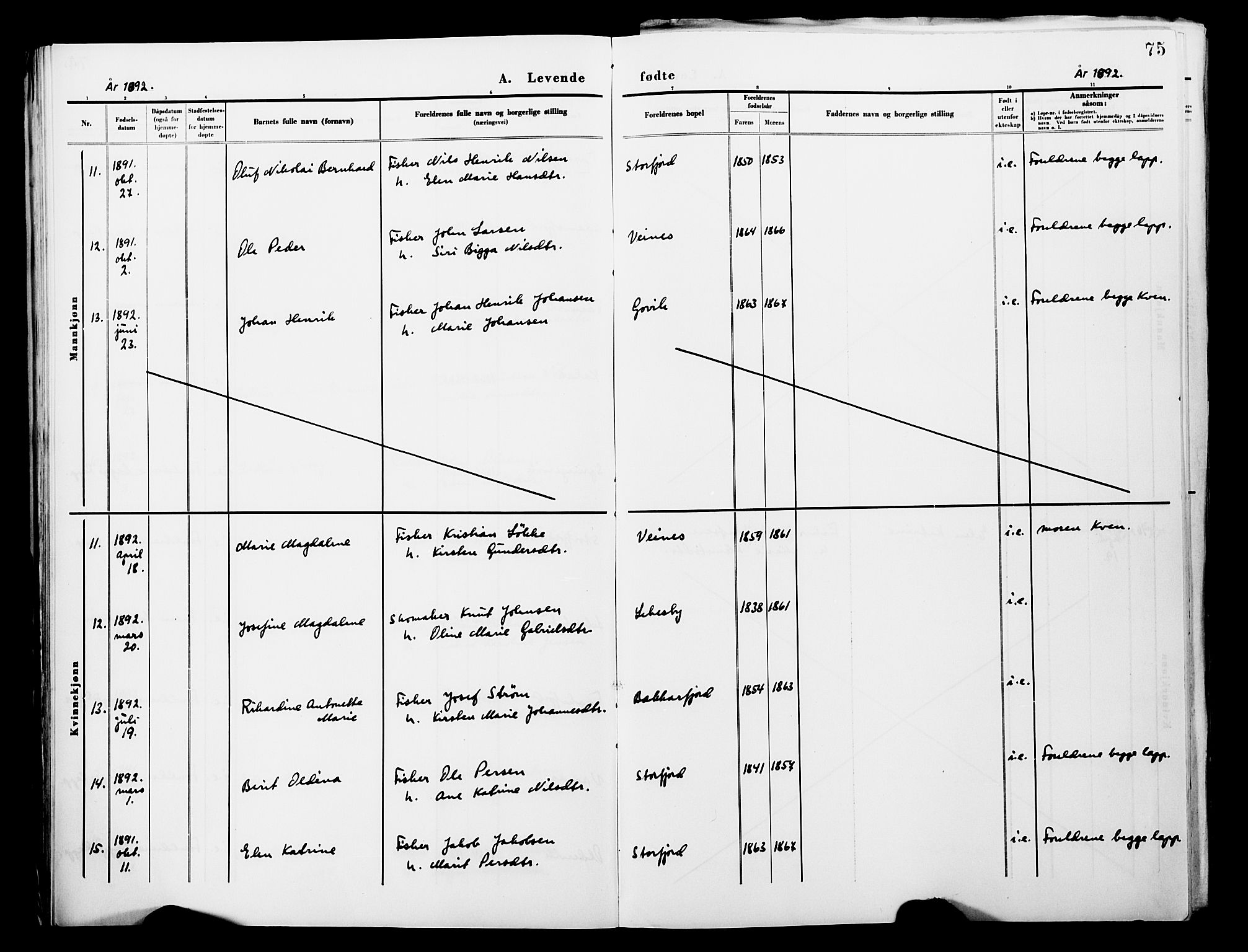 Lebesby sokneprestkontor, AV/SATØ-S-1353/H/Ha/L0004kirke: Parish register (official) no. 4, 1870-1902, p. 75