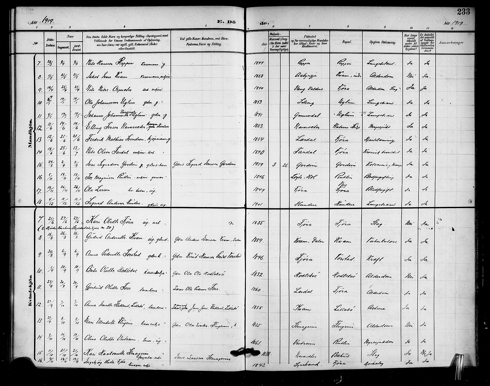 Sogndal sokneprestembete, AV/SAB-A-81301/H/Hab/Haba/L0002: Parish register (copy) no. A 2, 1908-1924, p. 233