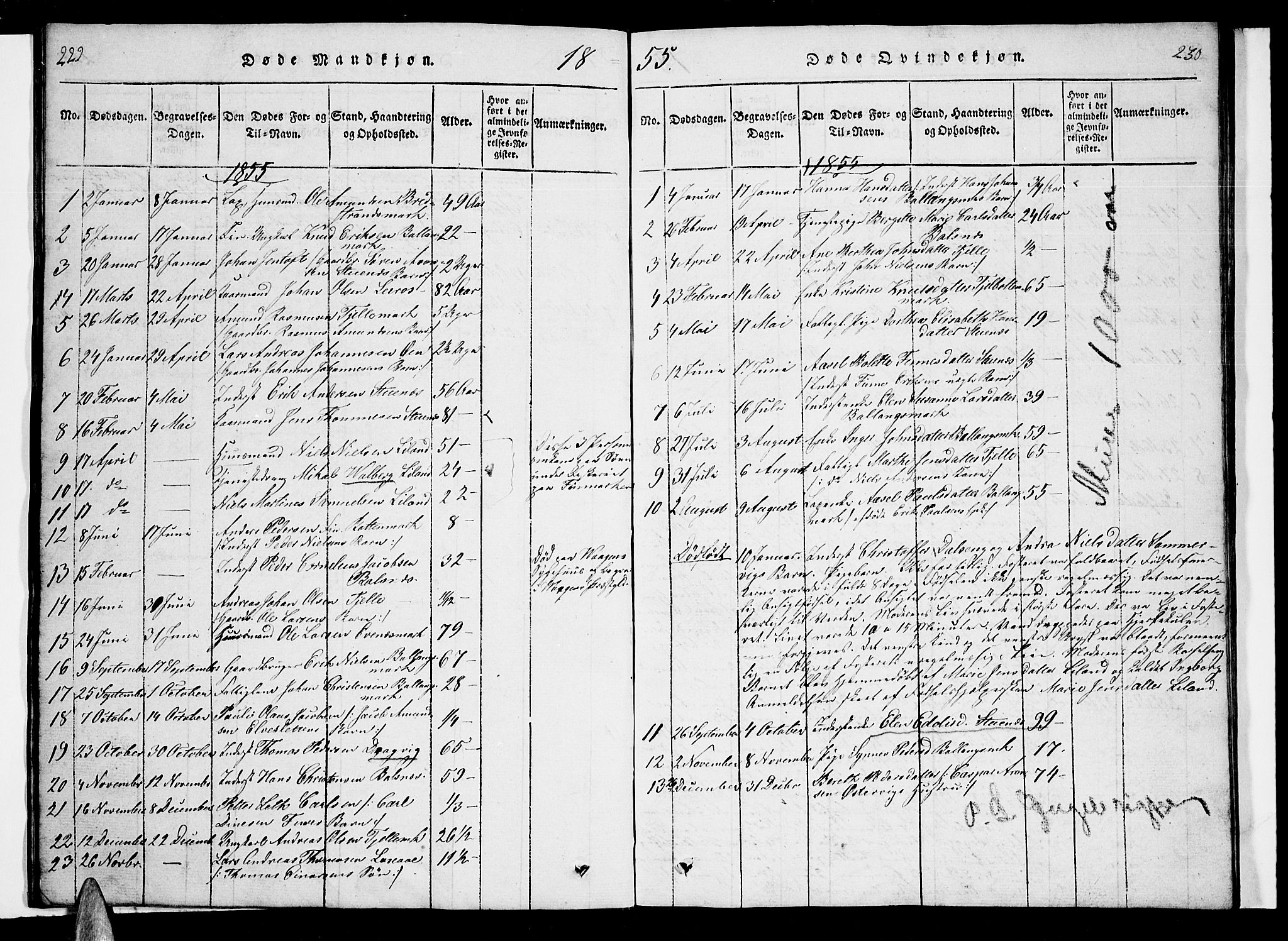 Ministerialprotokoller, klokkerbøker og fødselsregistre - Nordland, AV/SAT-A-1459/863/L0911: Parish register (copy) no. 863C01, 1821-1858, p. 229-230