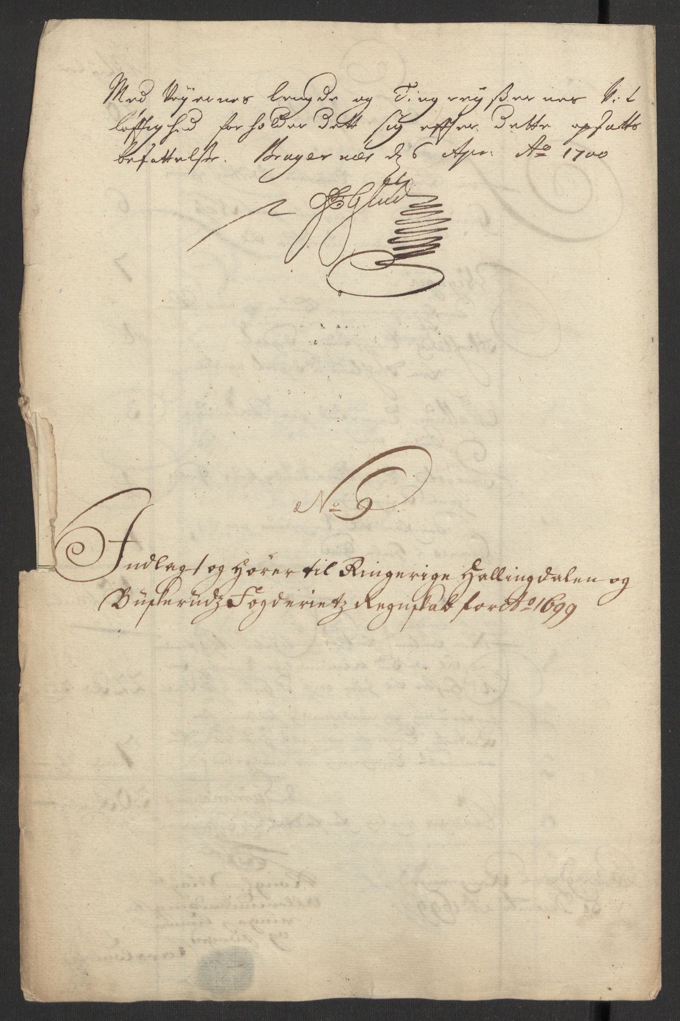Rentekammeret inntil 1814, Reviderte regnskaper, Fogderegnskap, RA/EA-4092/R22/L1456: Fogderegnskap Ringerike, Hallingdal og Buskerud, 1699, p. 345