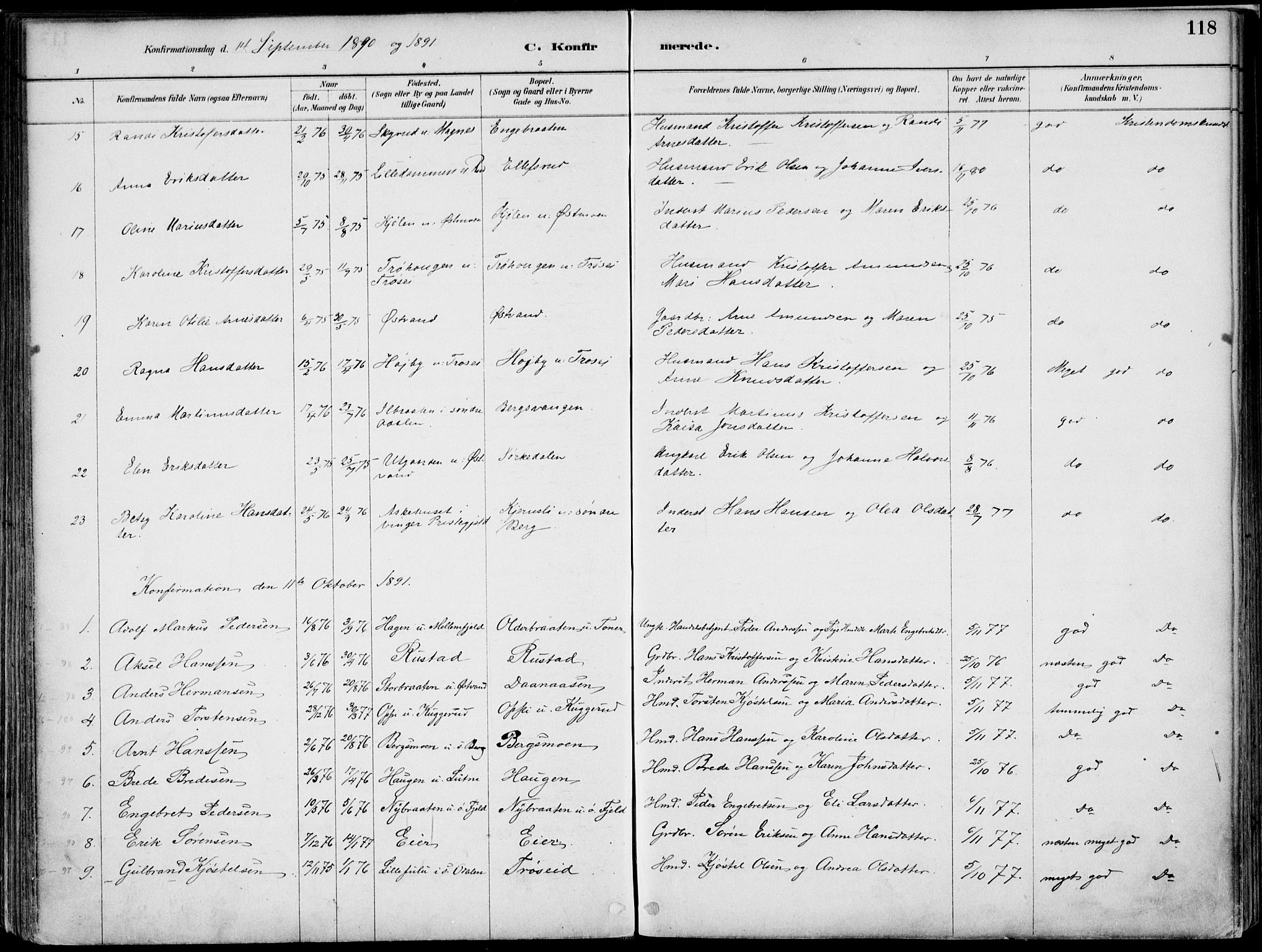 Nord-Odal prestekontor, AV/SAH-PREST-032/H/Ha/Haa/L0008: Parish register (official) no. 8, 1886-1901, p. 118