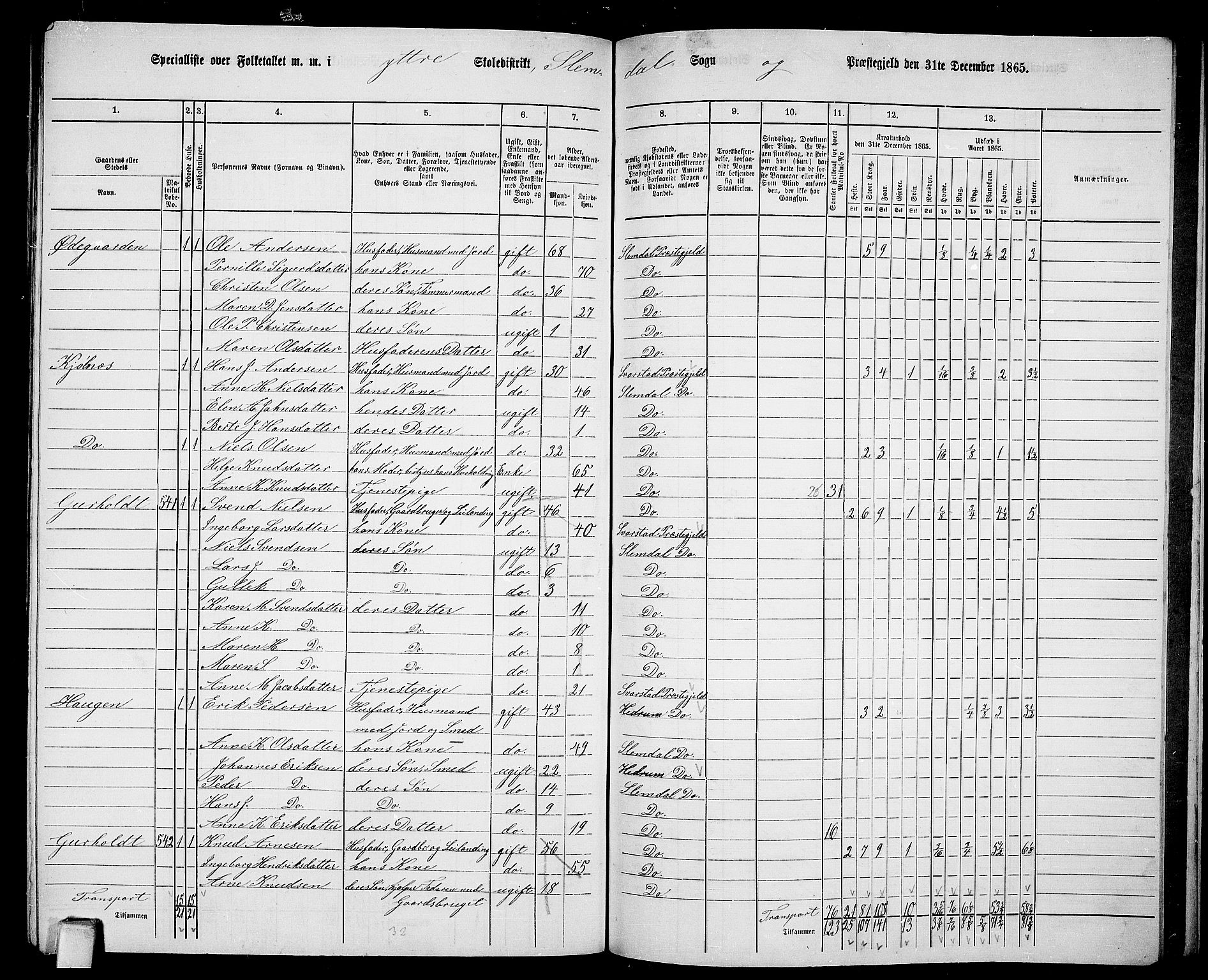 RA, 1865 census for Slemdal, 1865, p. 29